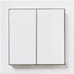 ABB Friends of Hue Smart Switch -kytkin, valkoinen
