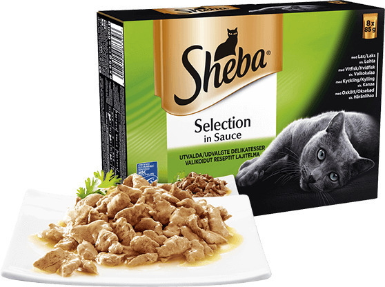 sheba selection in sauce