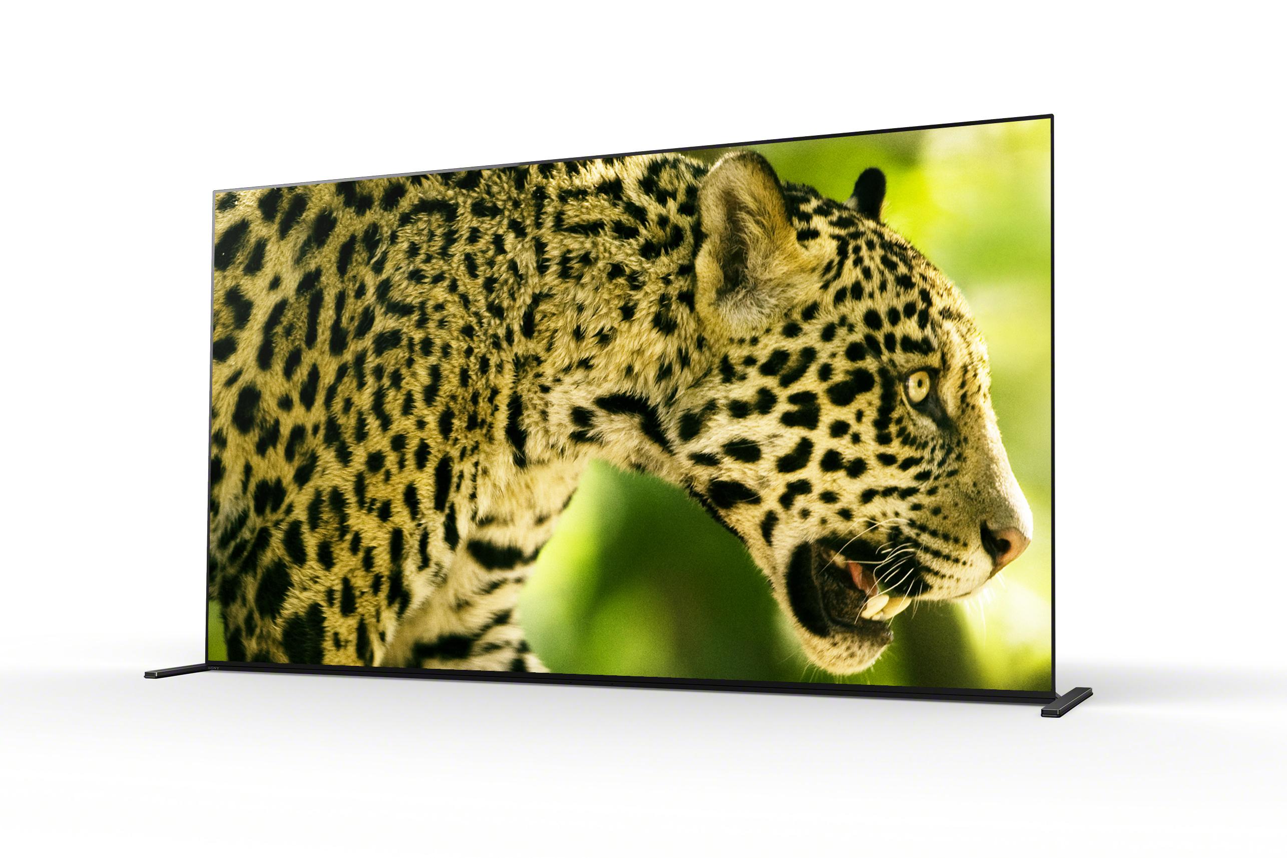 BRAVIA XR -televisio ja hyvä kontrasti
