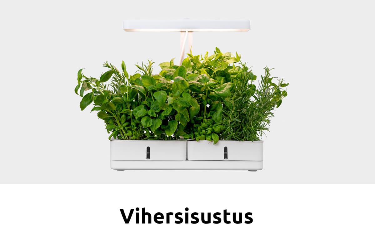 Vihersisustus