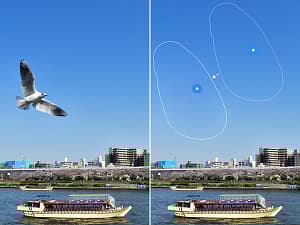 Adobe Lightroom CC 1 Tt - 12 kk - Win/Mac -digitaalivalokuvausohjelmisto, ESD - sähköinen lisenssi, kuva 2
