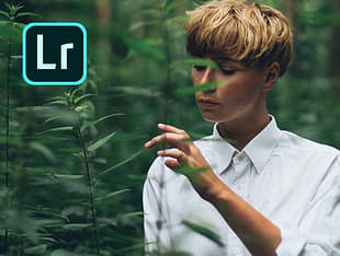 Adobe Lightroom CC 1 Tt - 12 kk - Win/Mac -digitaalivalokuvausohjelmisto, ESD - sähköinen lisenssi, kuva 9