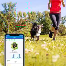 Tractive GPS Dog LTE – koiran GPS-paikannin, kuva 8