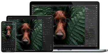 Adobe Lightroom CC 1 Tt - 12 kk - Win/Mac -digitaalivalokuvausohjelmisto, ESD - sähköinen lisenssi, kuva 11