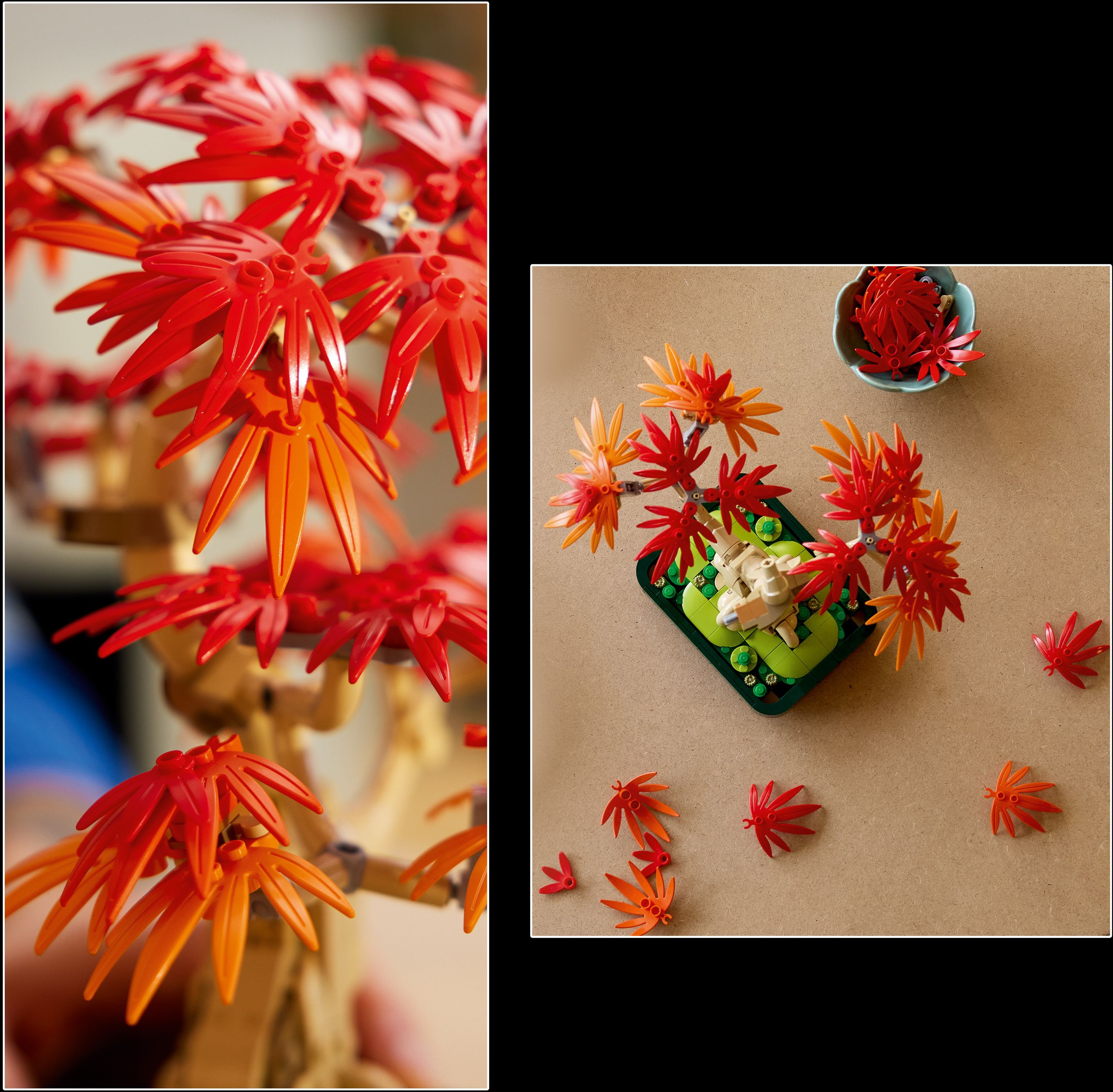 LEGO Botanicals 10348 Punalehtinen japaninvaahtera-bonsaipuu