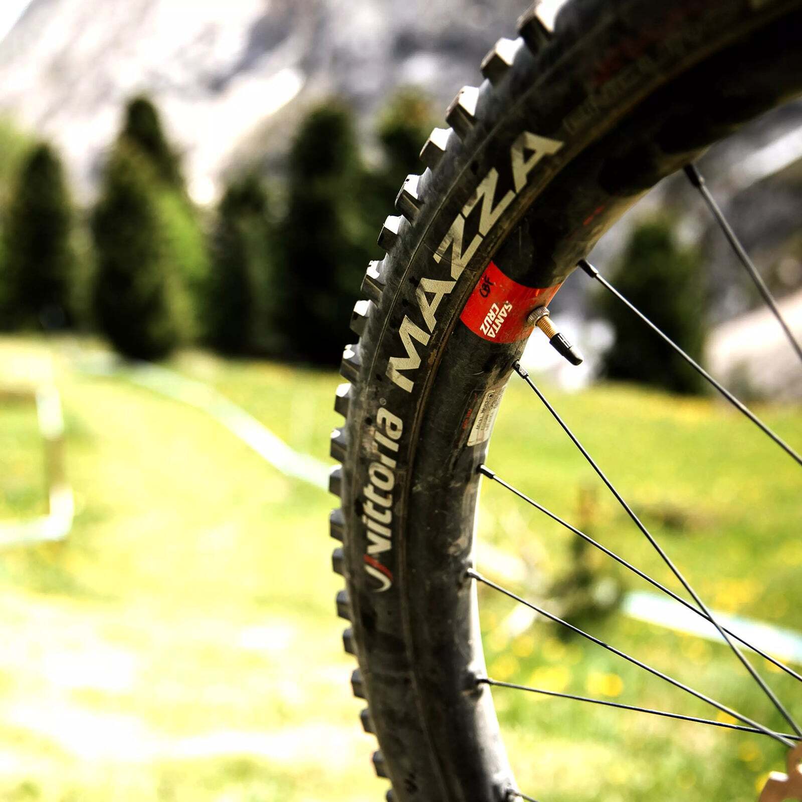Vittoria Mazza Race TLR G2 -rengas, 29x2,4"