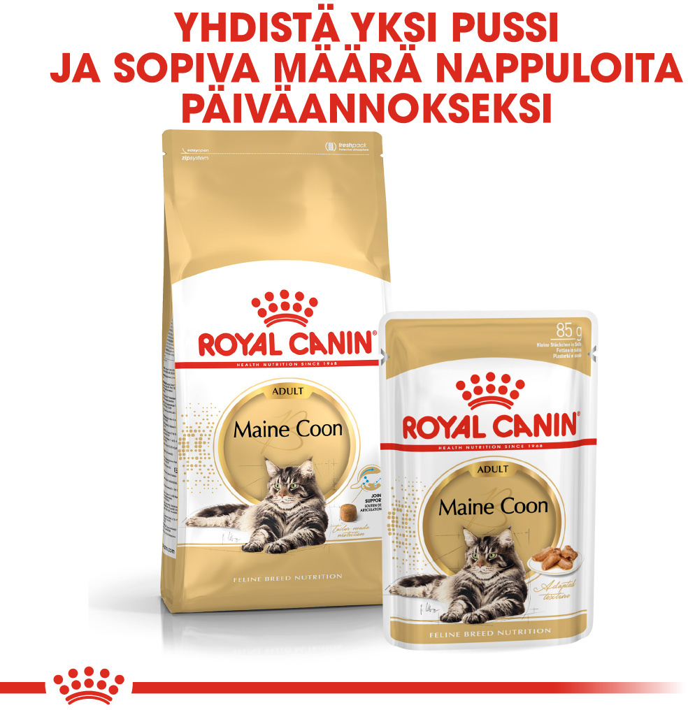 Royal Canin Maine Coon Adult -kuivaruoka, 10 kg – 