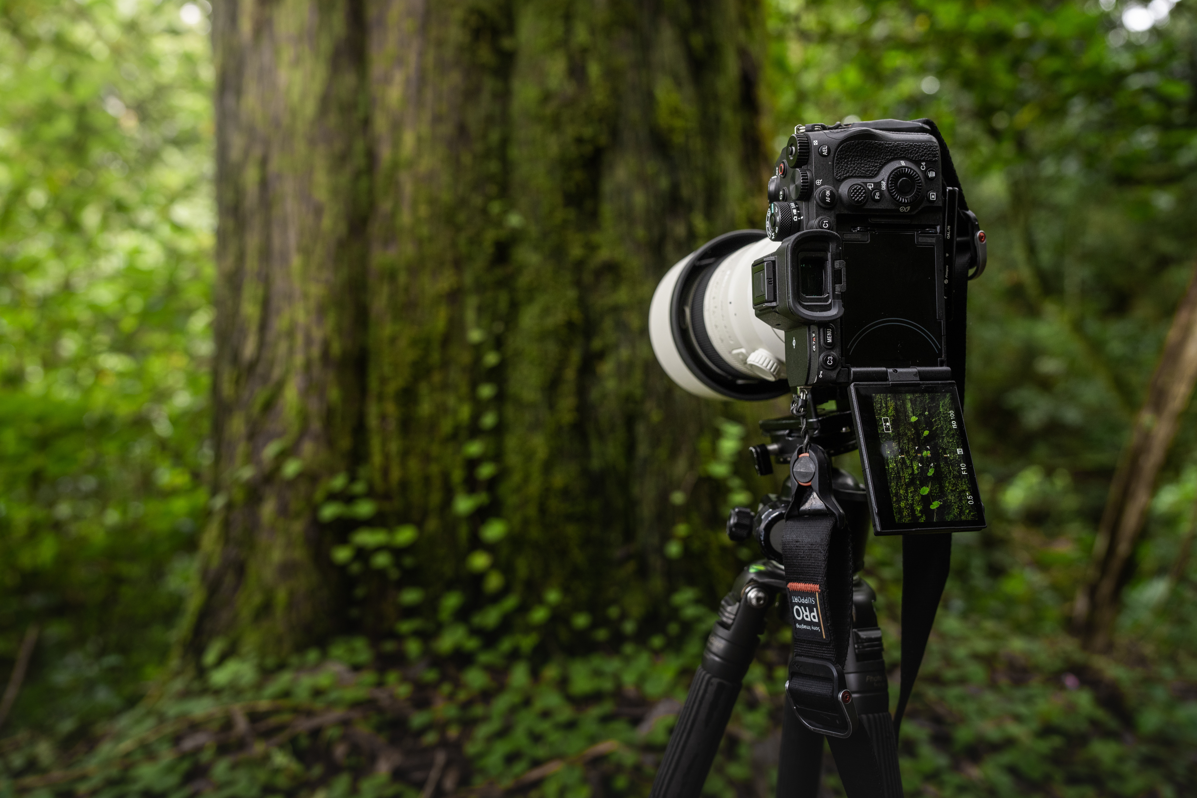 Sony A7R V -järjestelmäkamera, runko