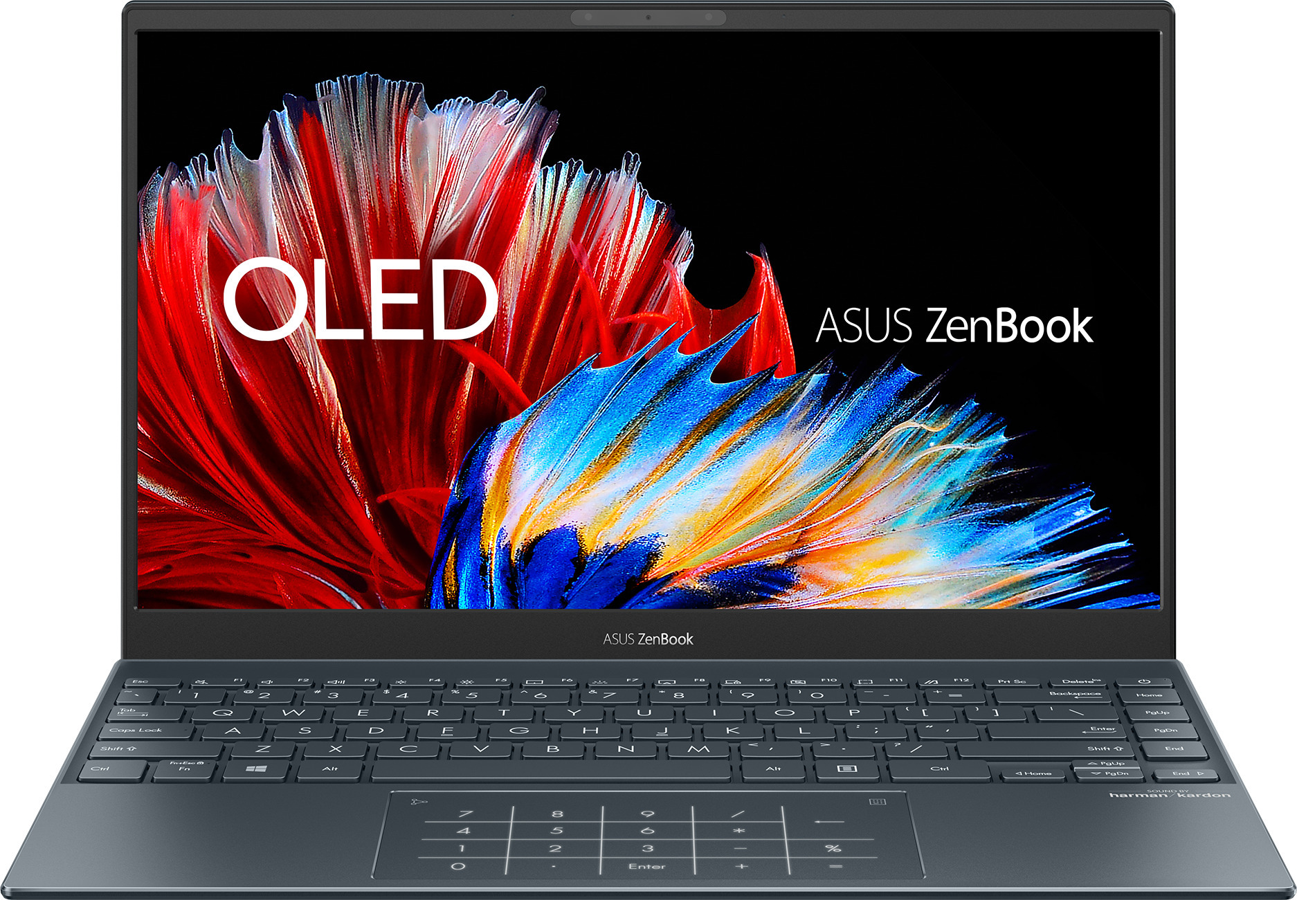 Asus oled. ASUS ZENBOOK 13 OLED ux325.