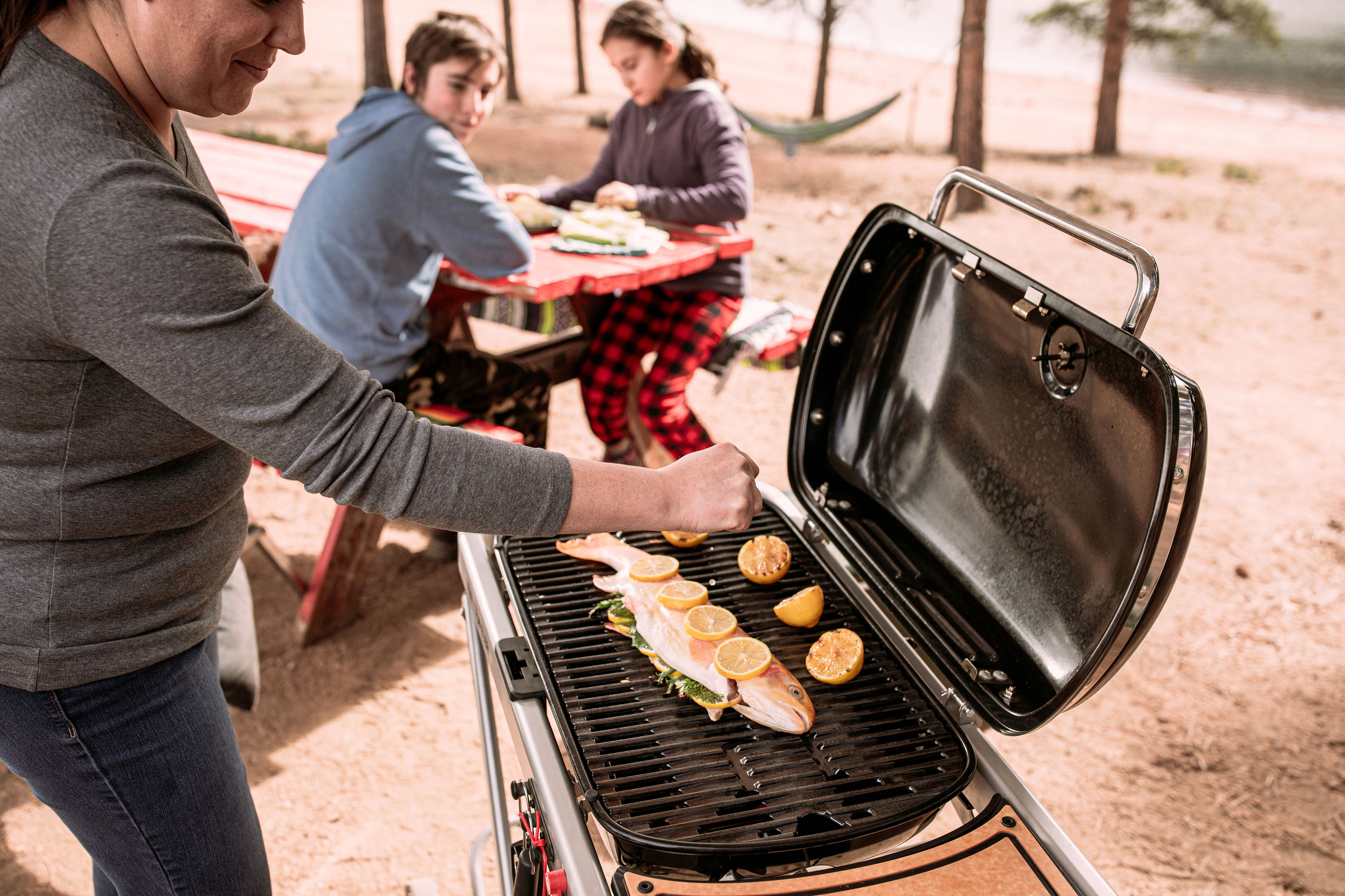Weber Traveler -kaasugrilli