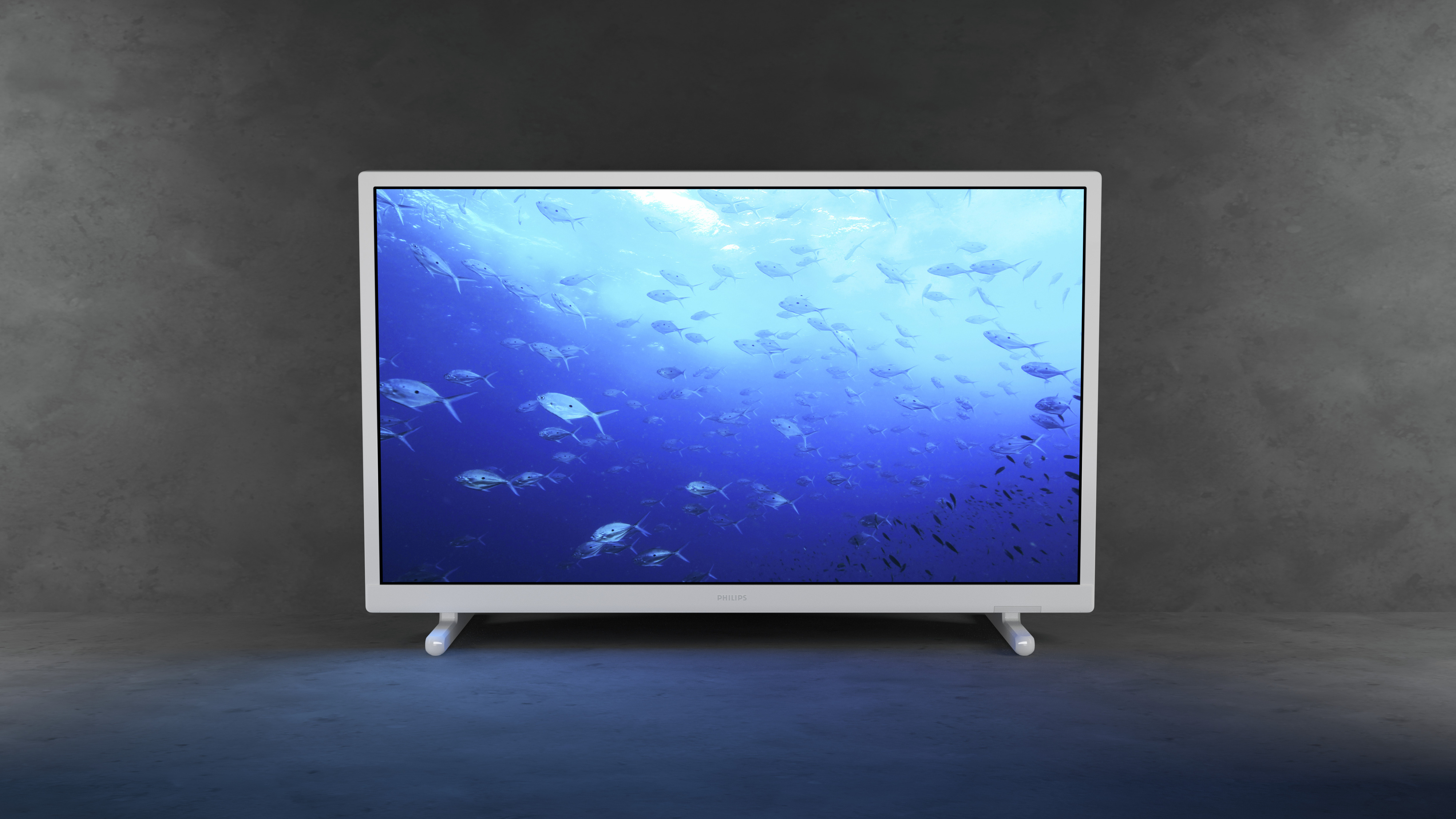 Philips 24PHS5537 12 V 24" HD Ready LED TV