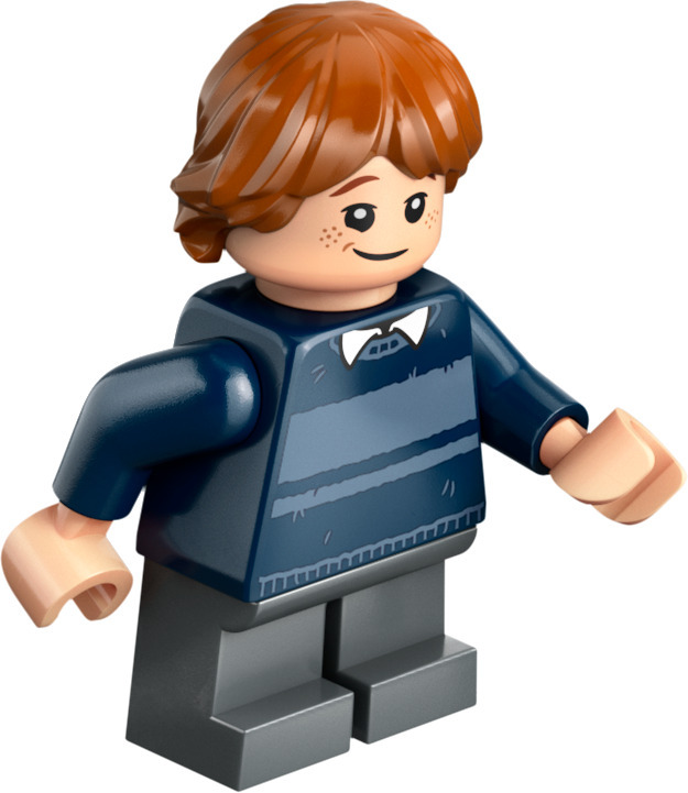 LEGO Harry Potter 76428  - Hagridin mökki: Odottamaton vierailu