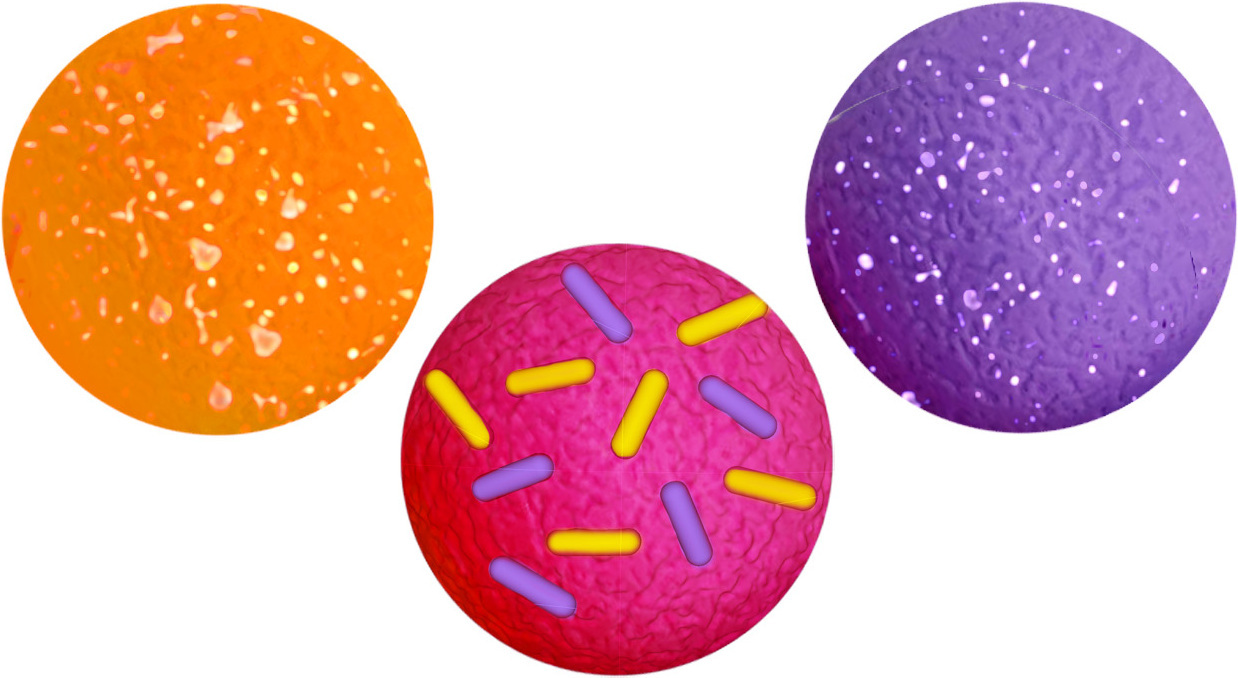 Needoh Teenie Dohnut Holes -fidget-lelu 3 Needoh Teenie Dohnut Holes -fidget-lelu - Image 3