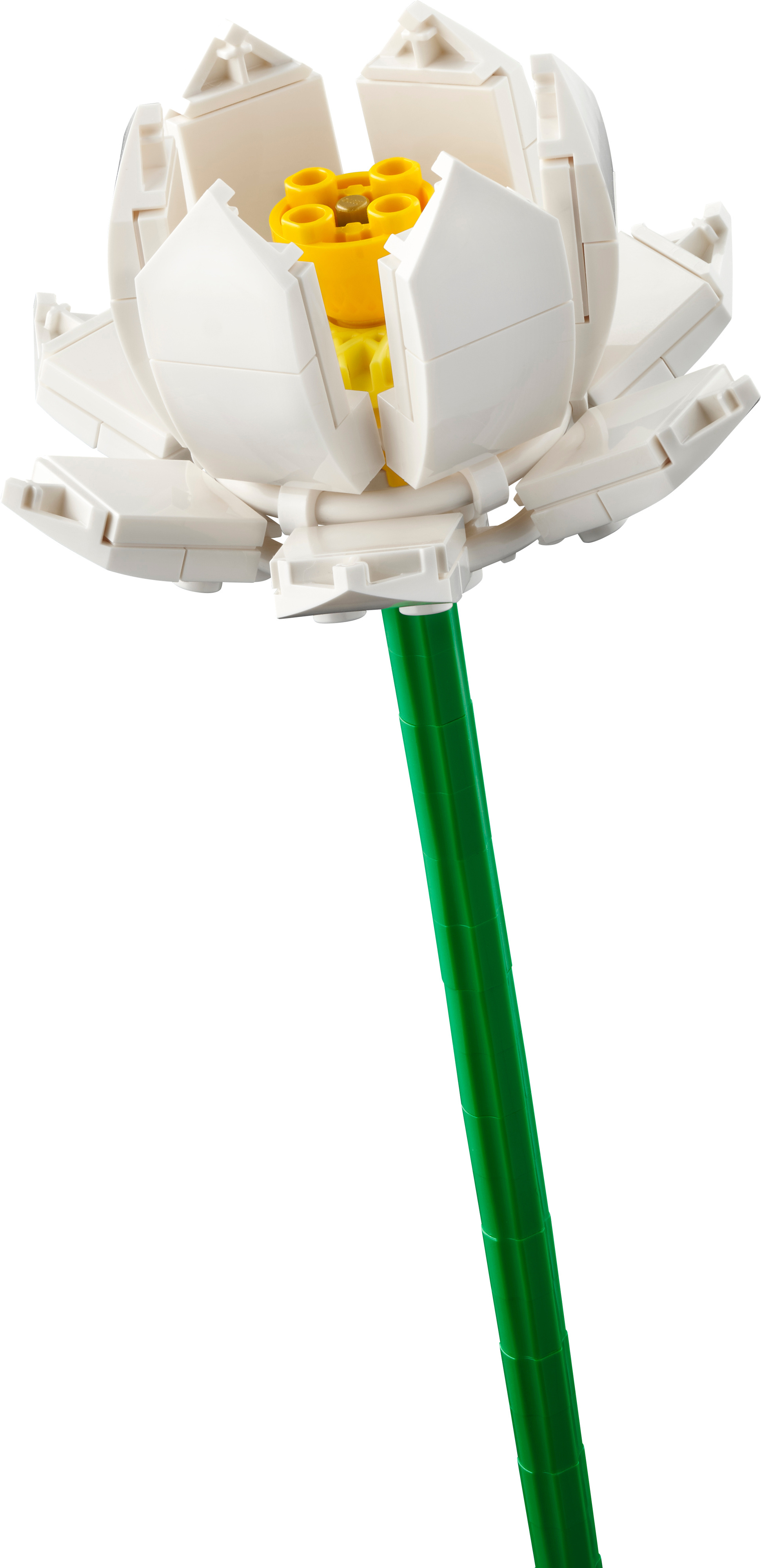 LEGO Botanical 40524  - Auringonkukat