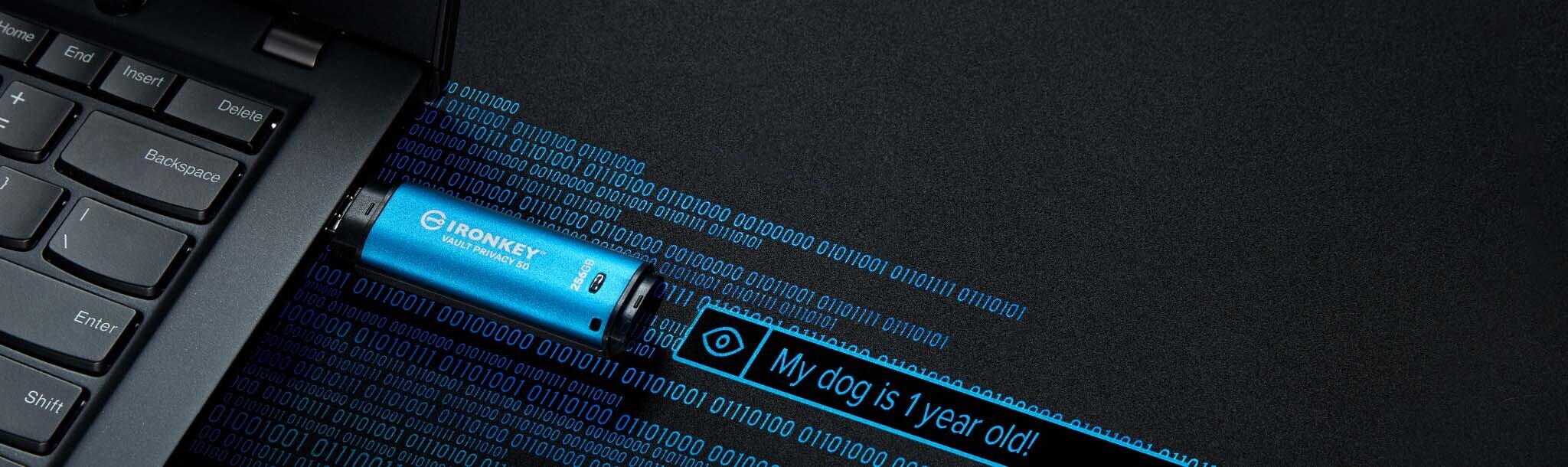 Kingston IronKey Vault Privacy 50 16 Gt USB -muistitikku