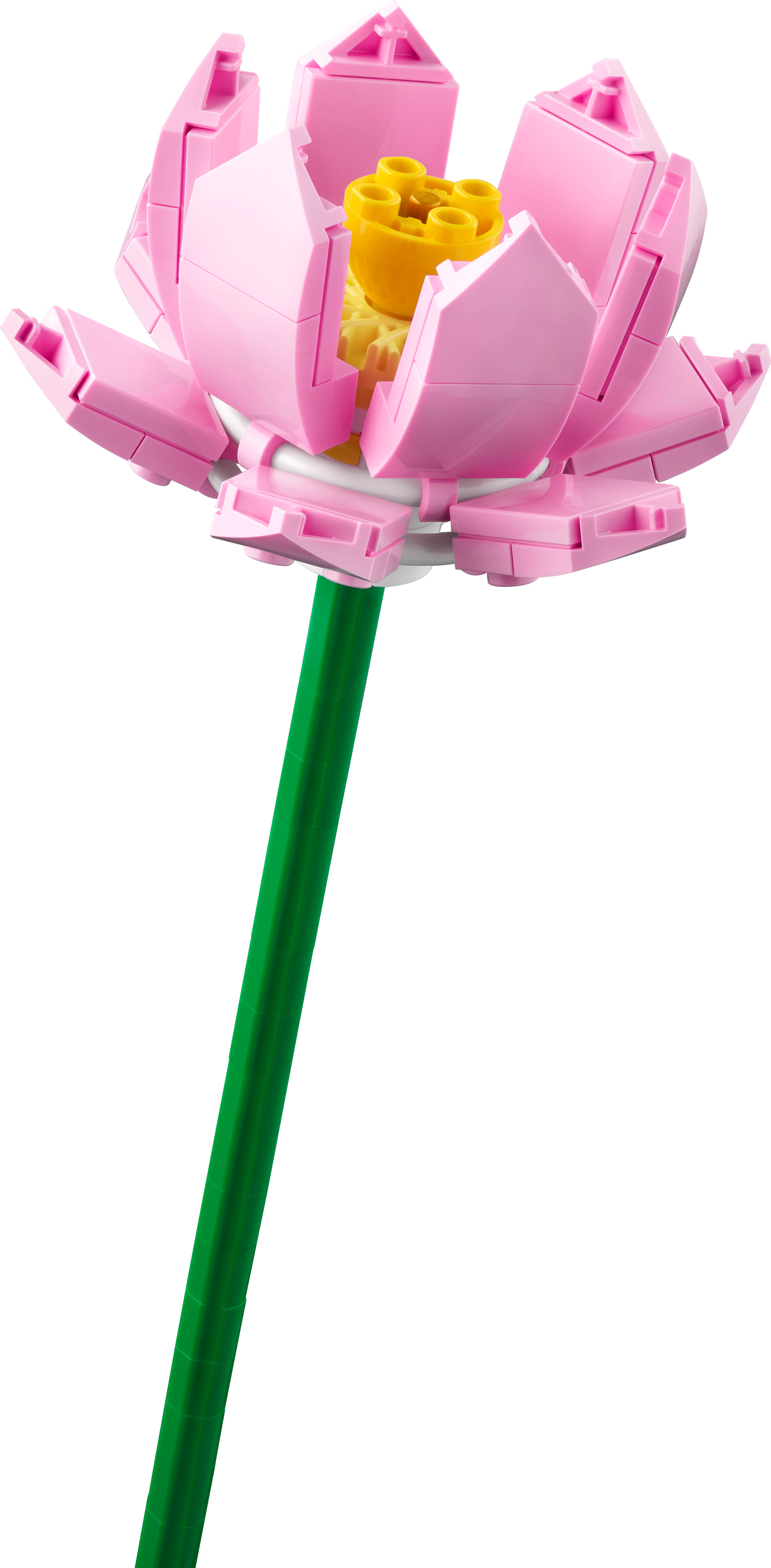 LEGO Botanical 40524  - Auringonkukat