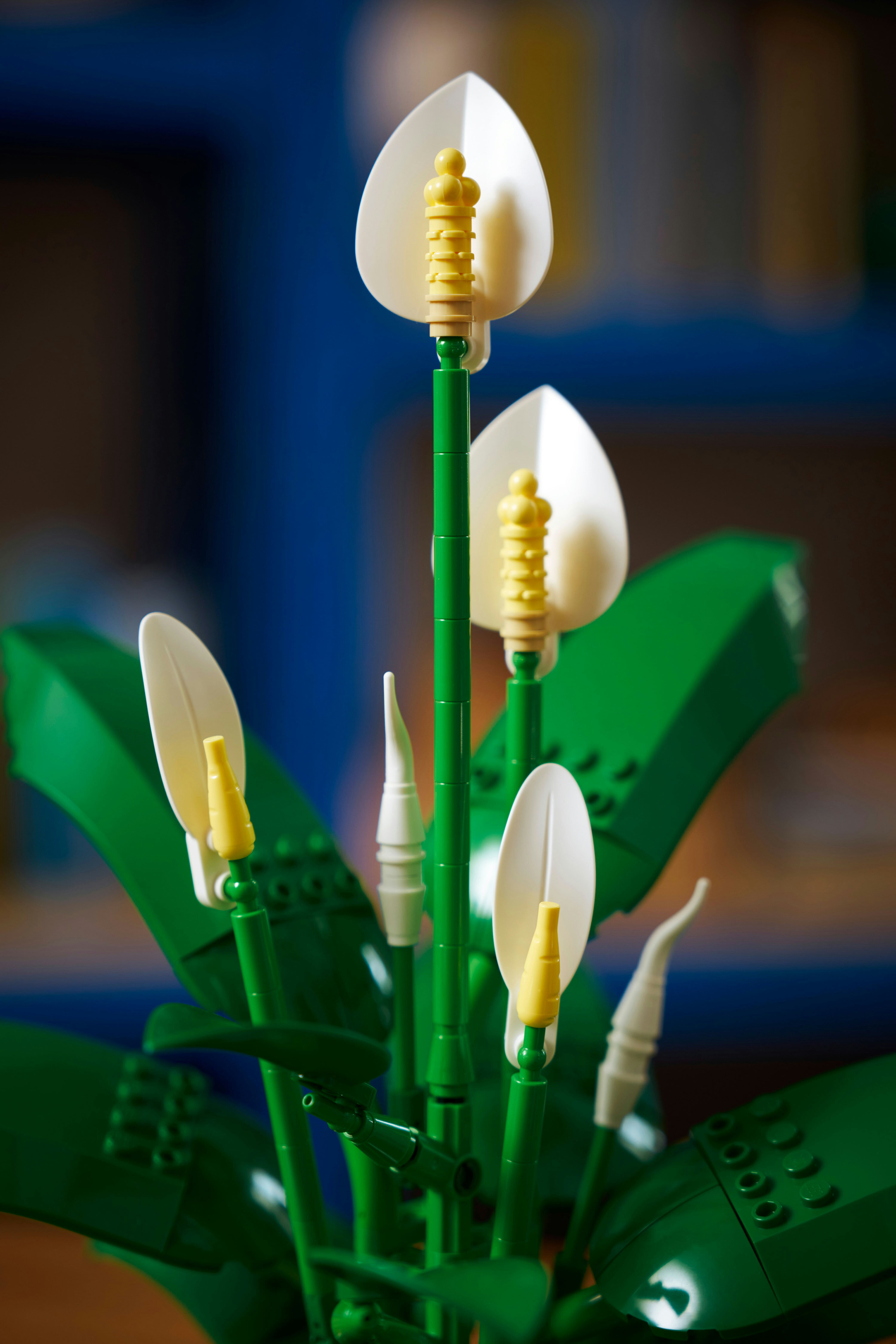 LEGO Botanicals 11504 Viirivehka