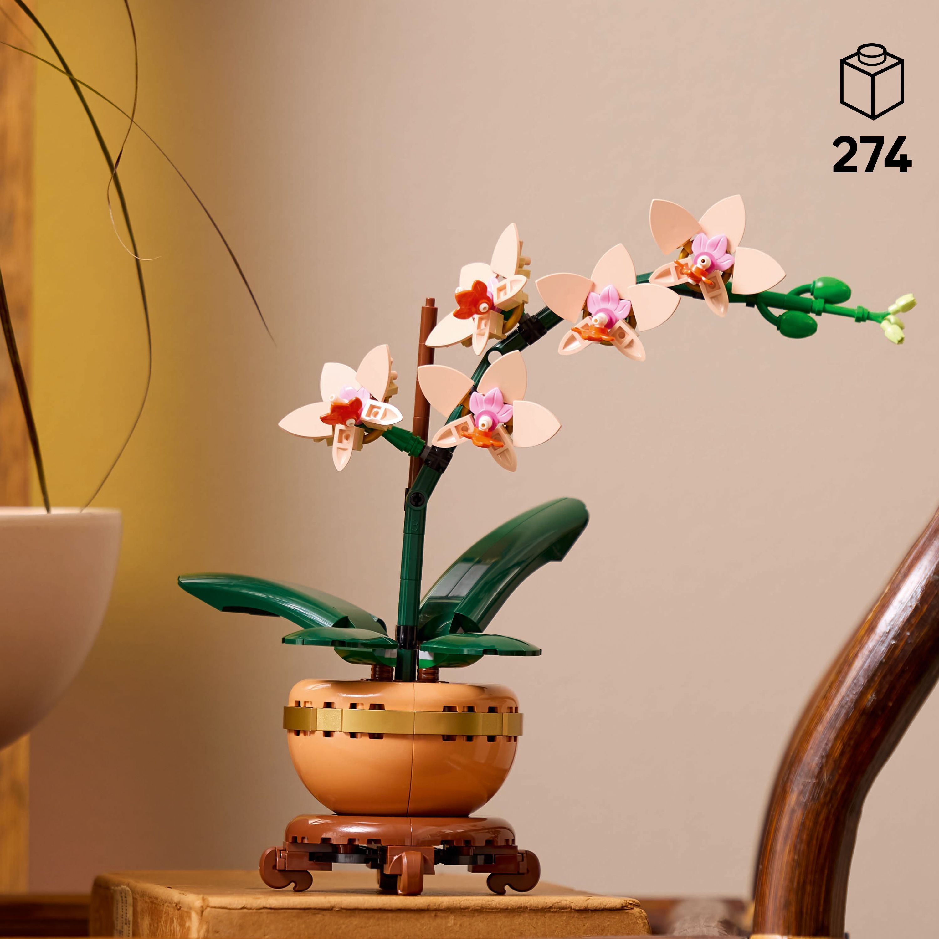 LEGO Botanicals 10343 – Miniorkidea