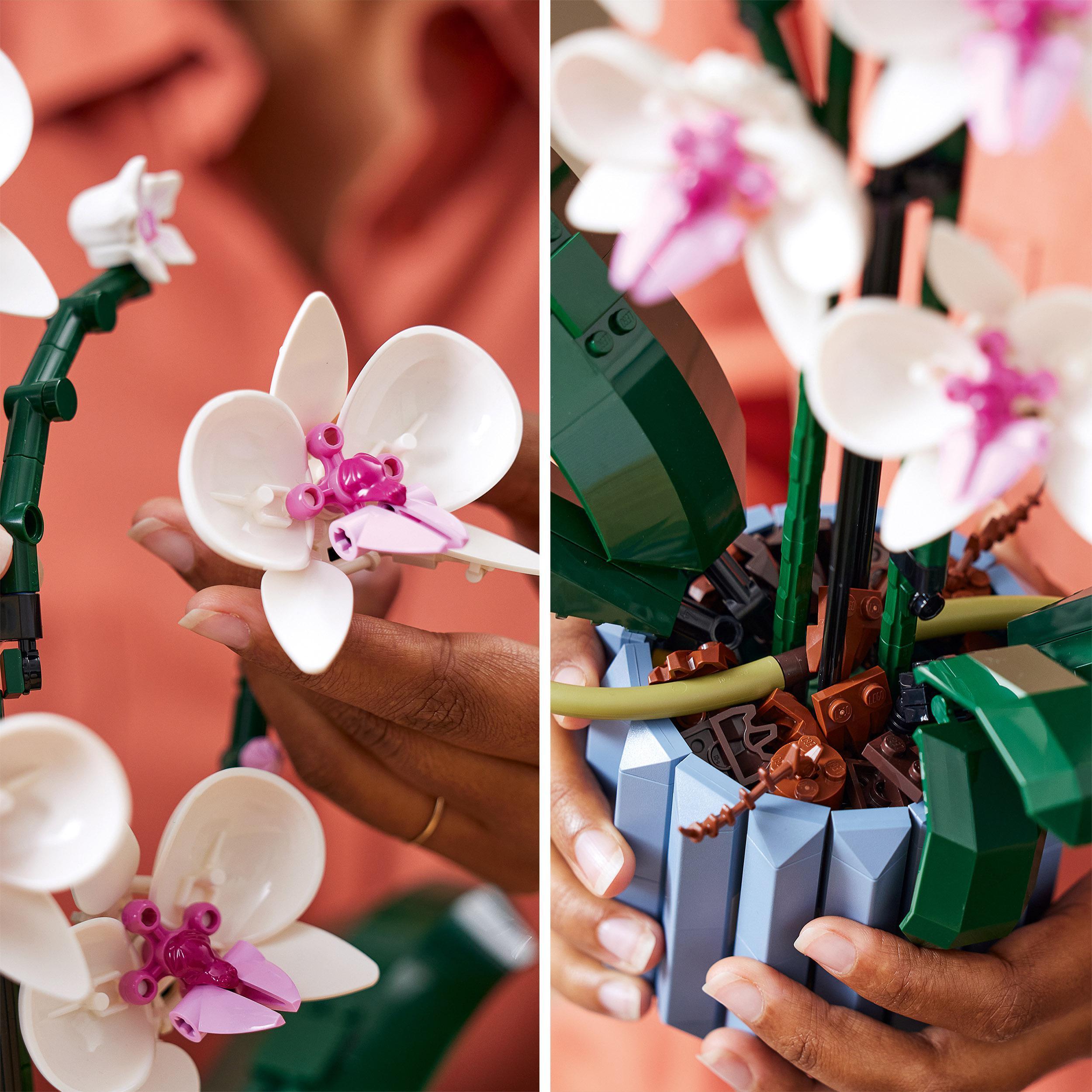 LEGO Botanical 10311 - Orkidea
