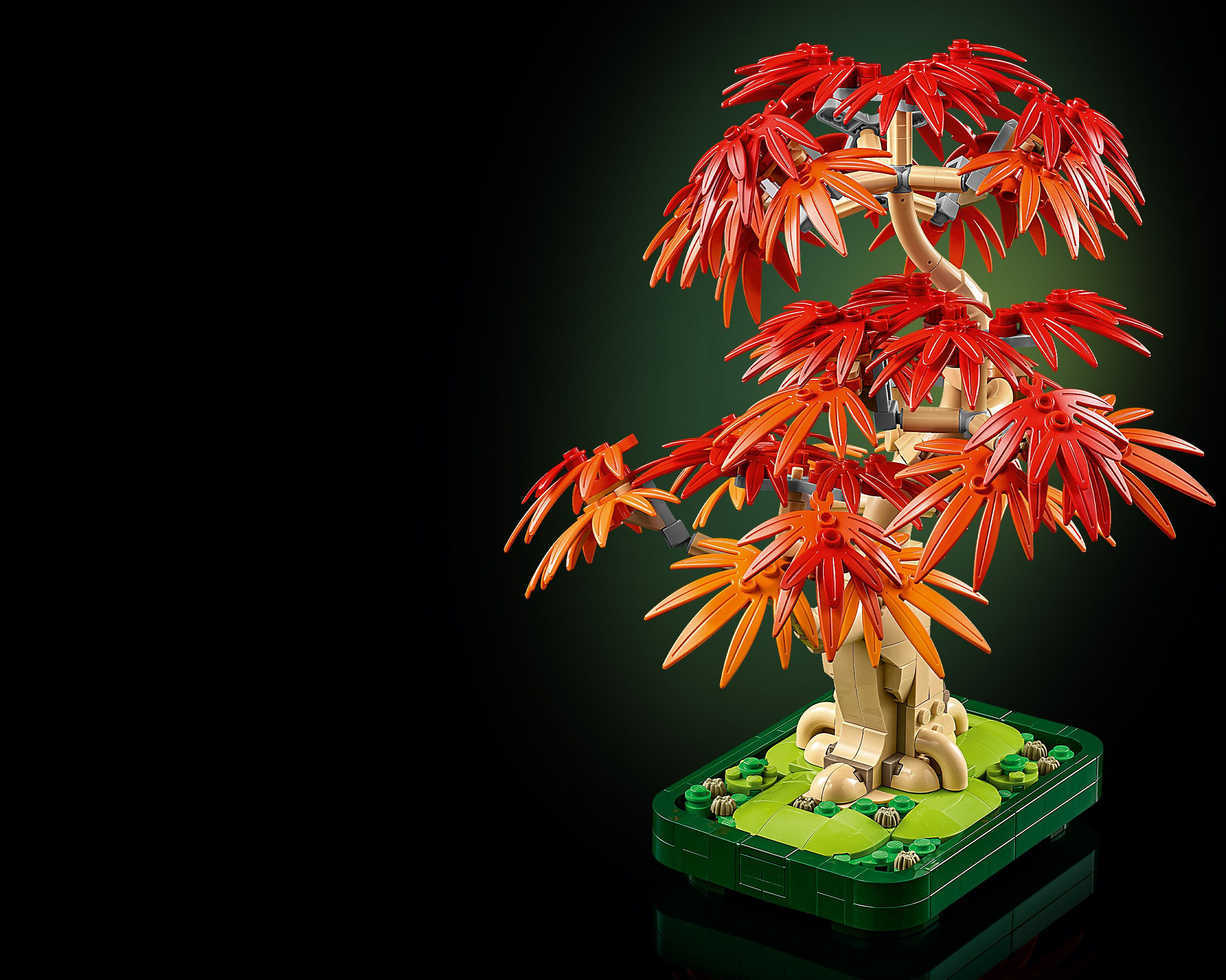 LEGO Botanicals 10348 Punalehtinen japaninvaahtera-bonsaipuu