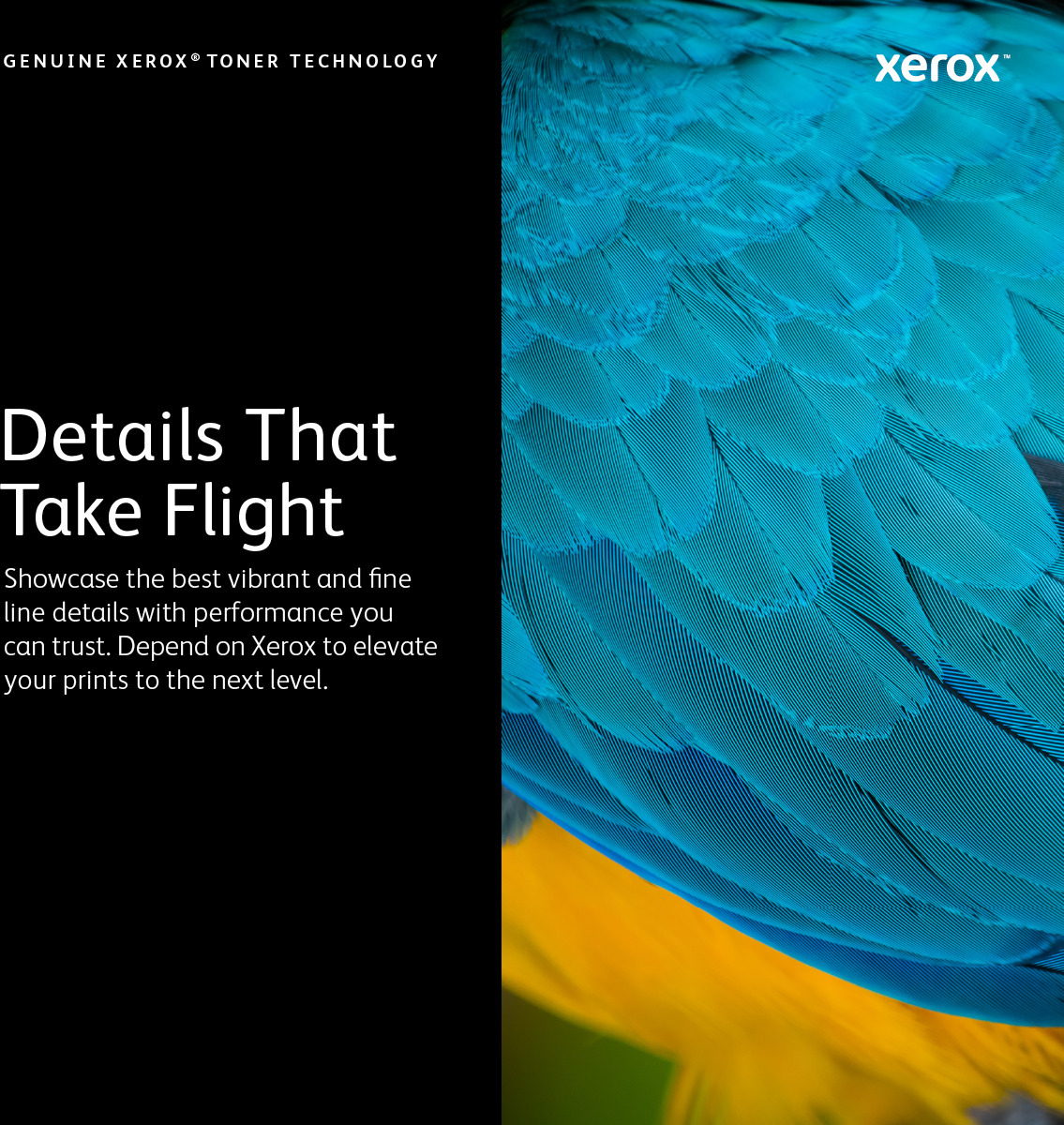 Xerox VersaLink C7000 -laservärikasetti, suuri kapasiteetti, magenta