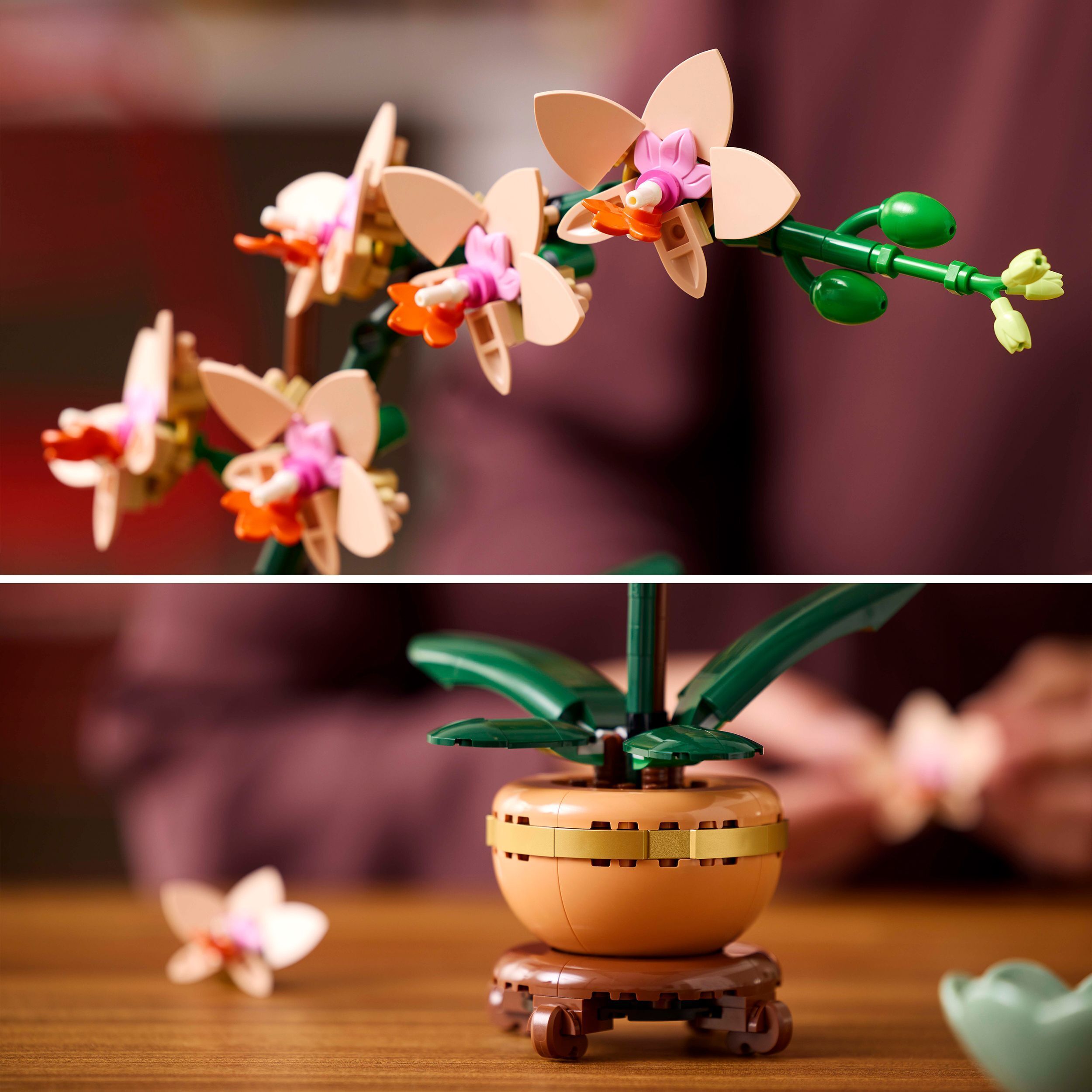 LEGO Botanicals 10343 – Miniorkidea