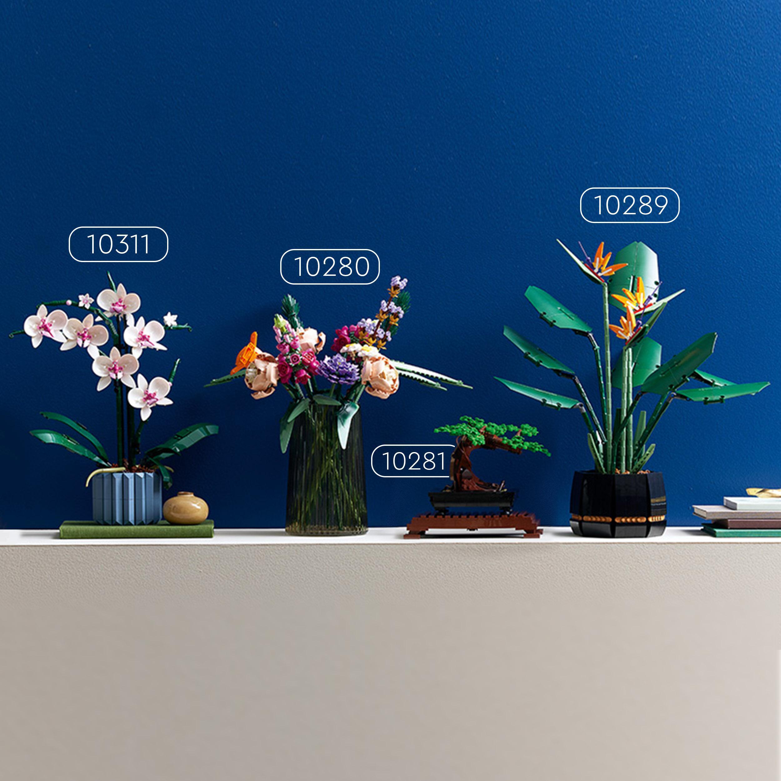 LEGO Botanical 10311 - Orkidea