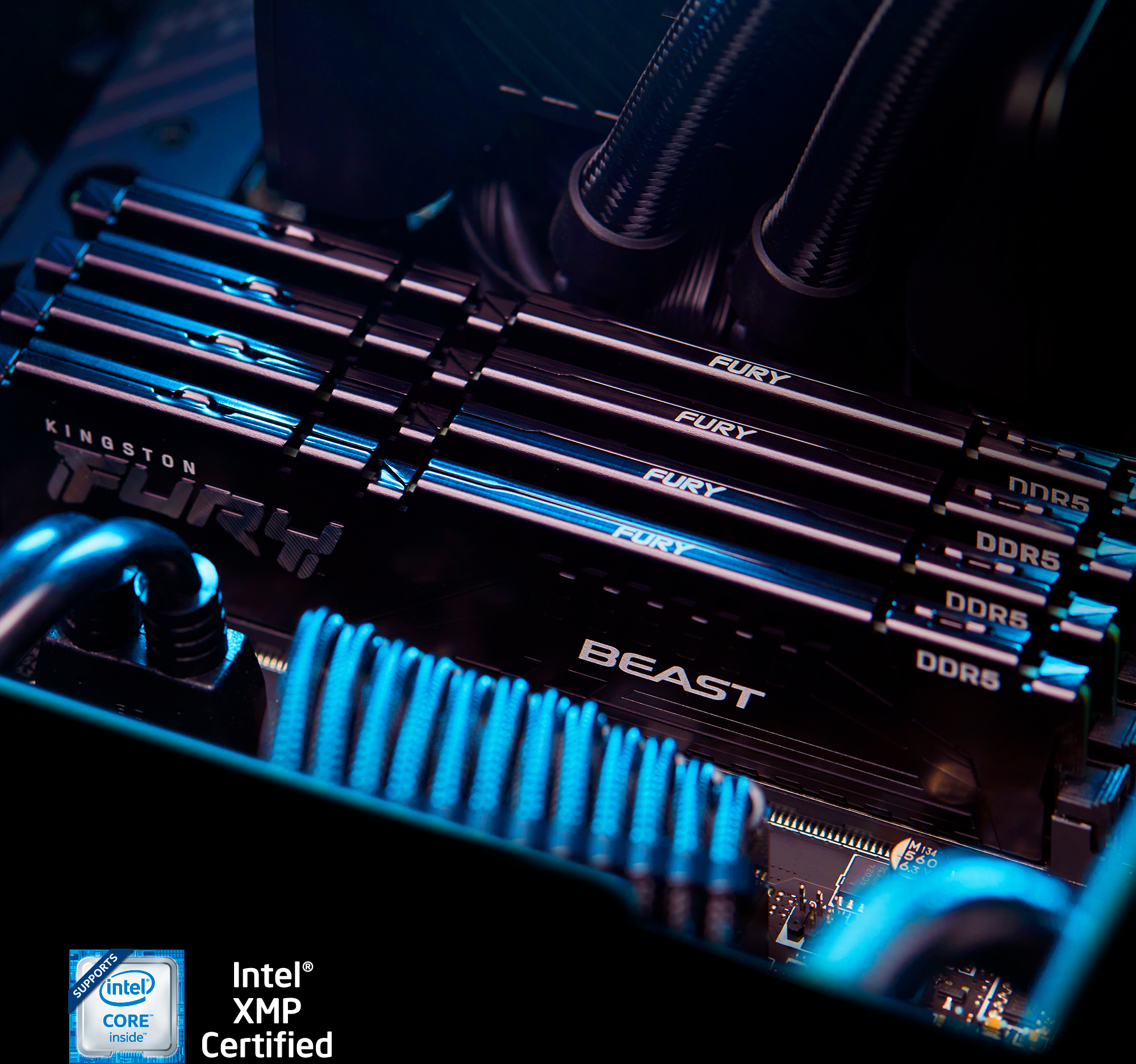 Kingston FURY Beast DDR5 5600 MHz CL40 16 Gt -muistimoduli