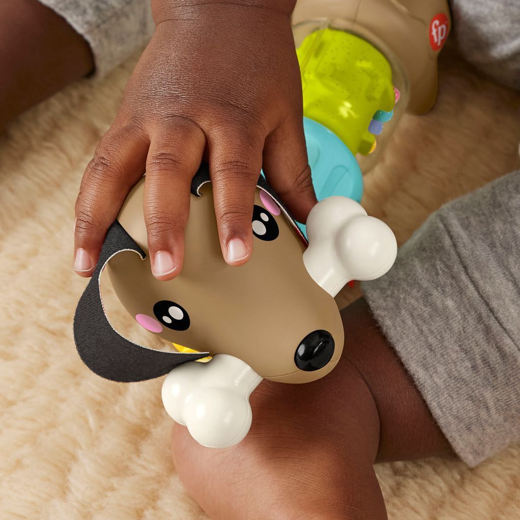 Fisher-Price Click & Spin Activity Pup - vauvan aktiviteettilelu