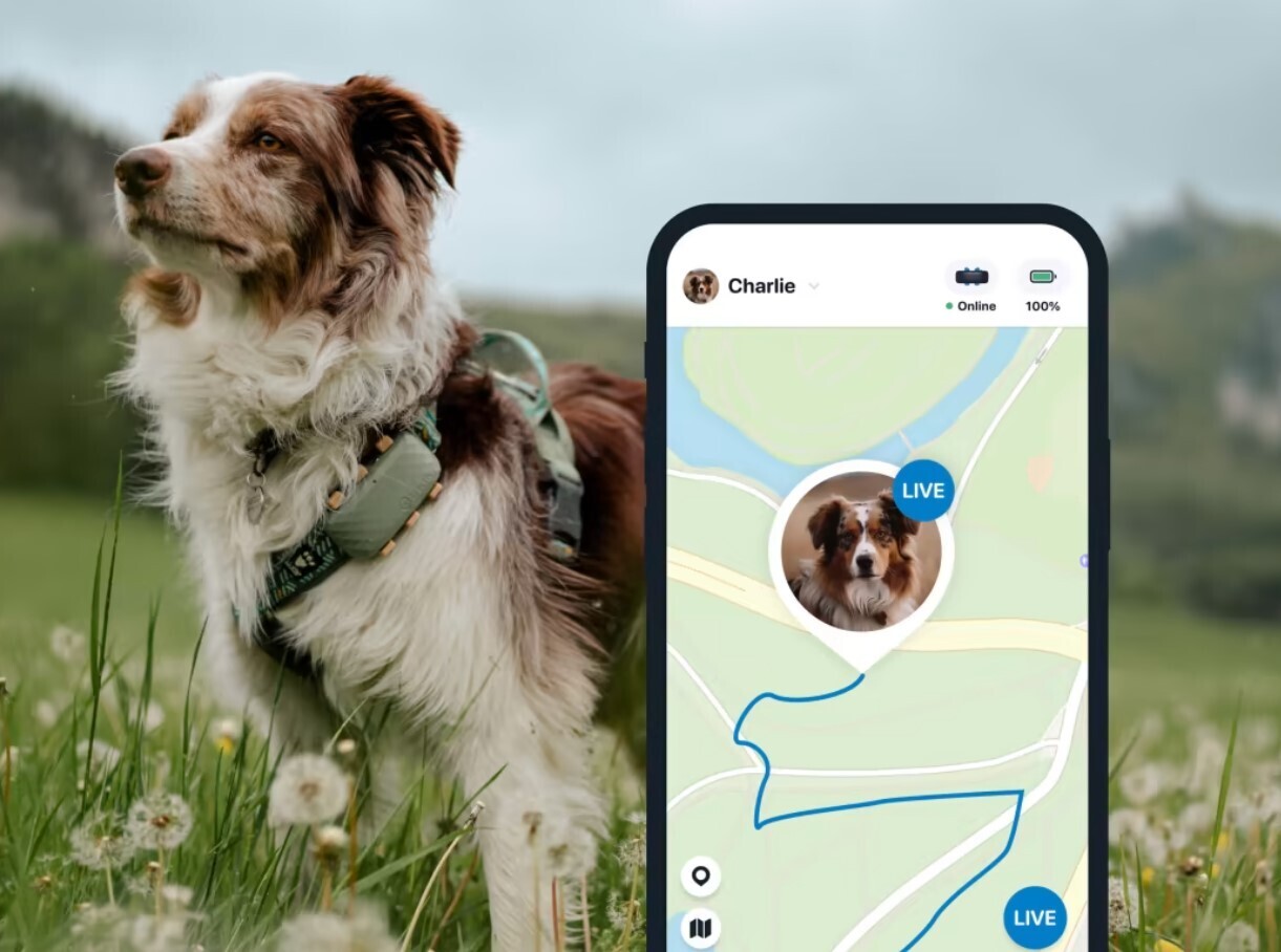 Tractive GPS CAT Mini - kissan GPS paikannin