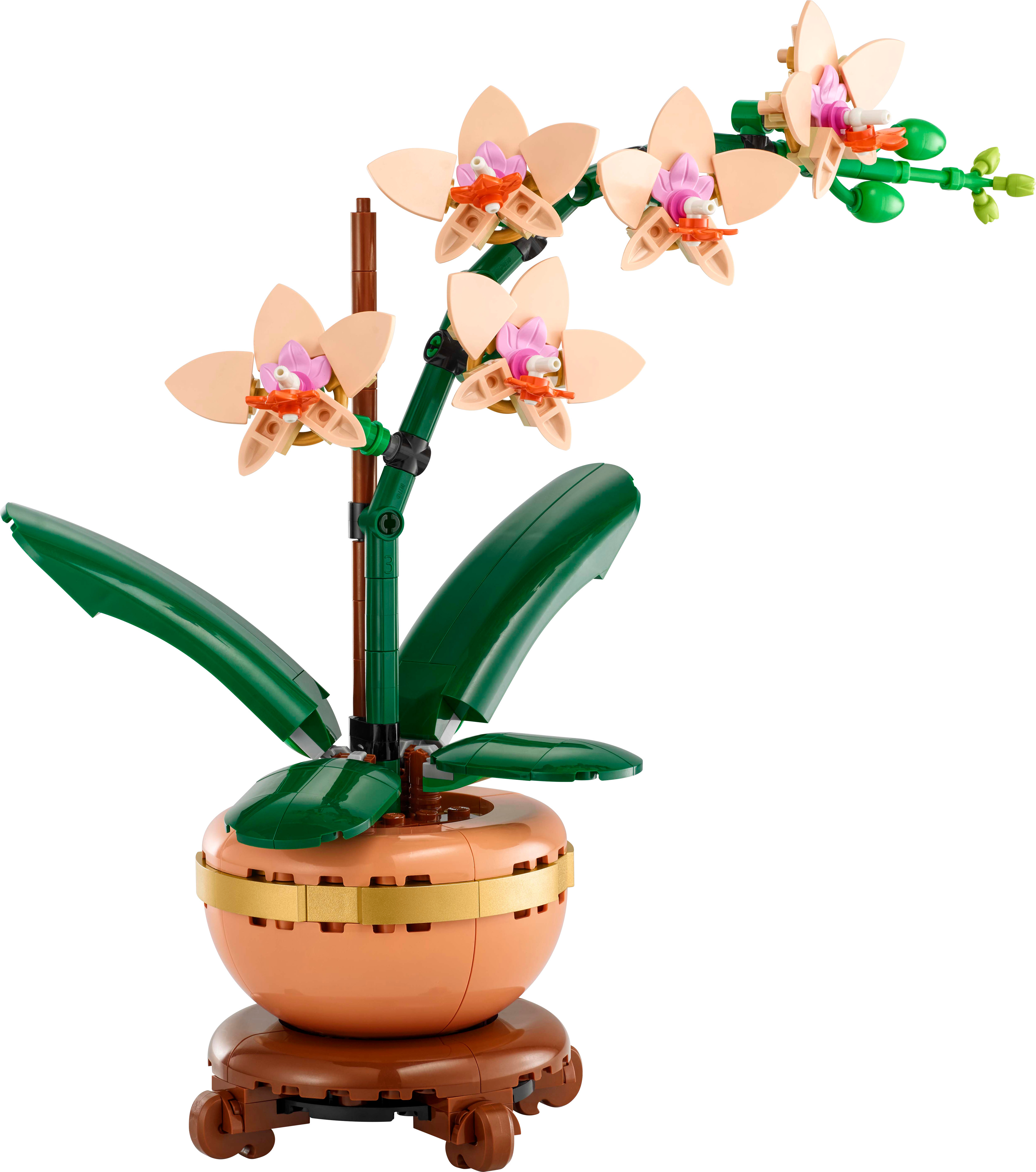 LEGO Botanicals 10343 – Miniorkidea