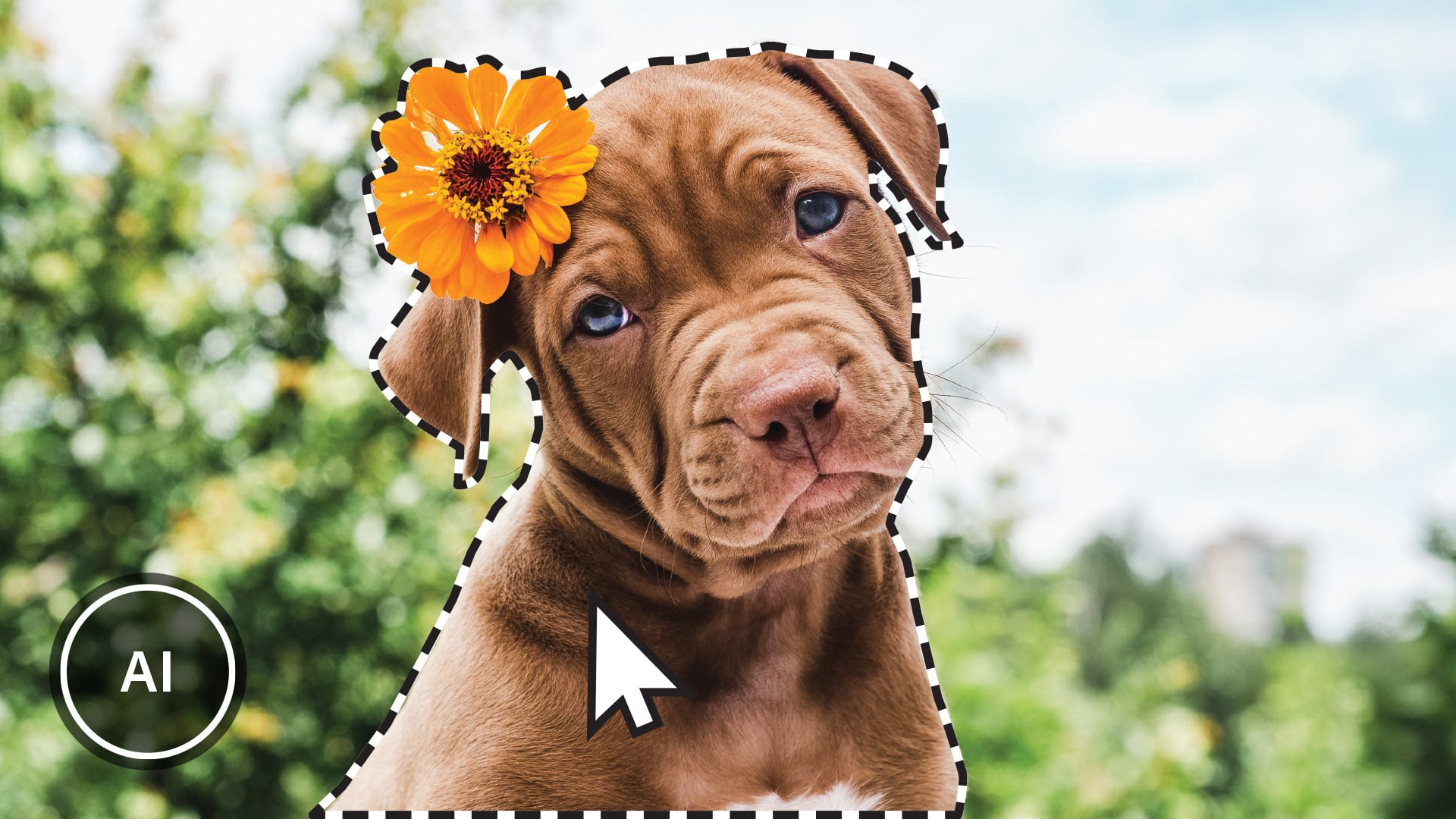 Adobe photoshop elements 2023 win mac kuvank sittelyohjelma
