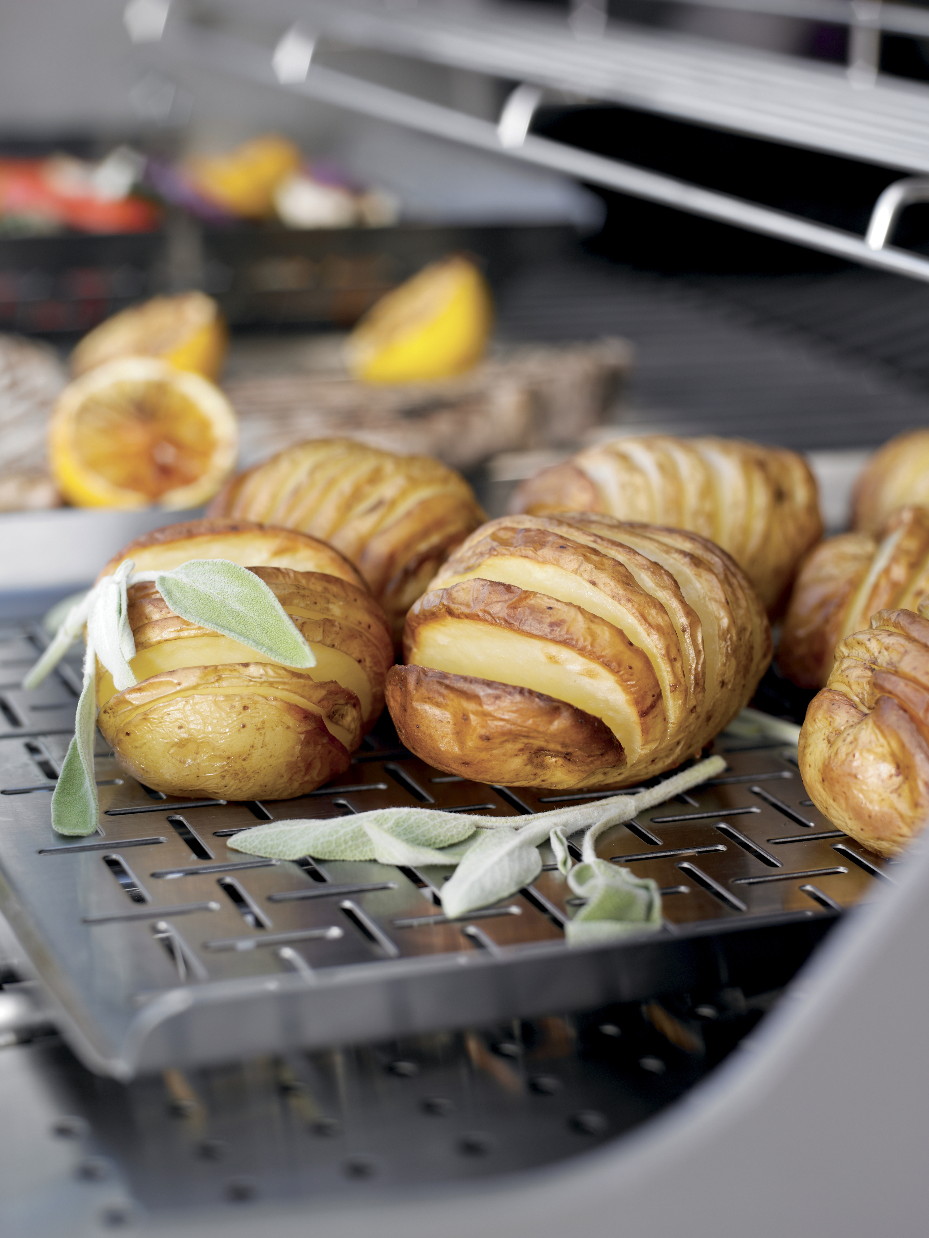 Weber Style kala-alusta