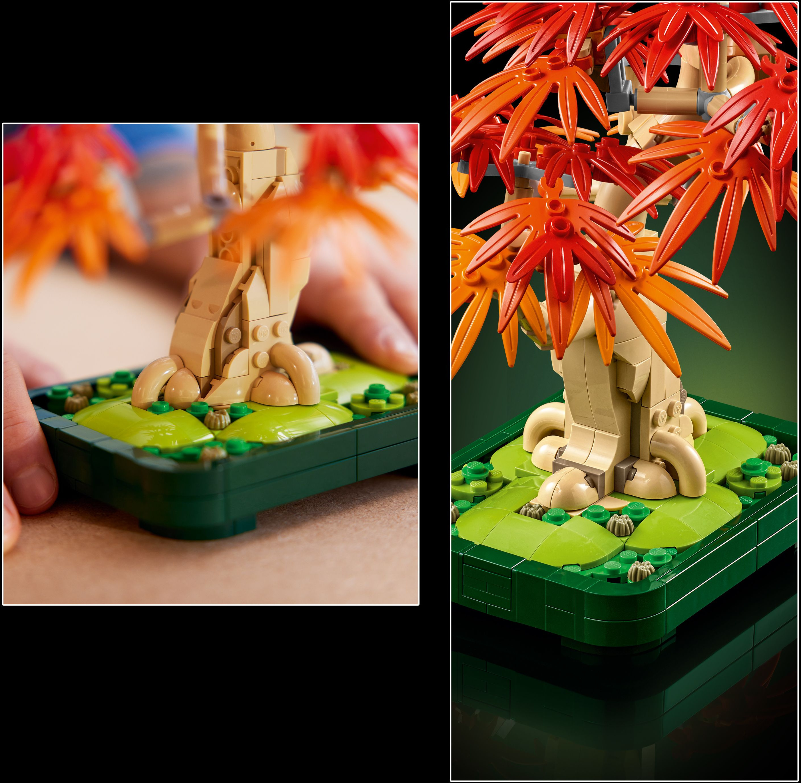 LEGO Botanicals 10348 Punalehtinen japaninvaahtera-bonsaipuu