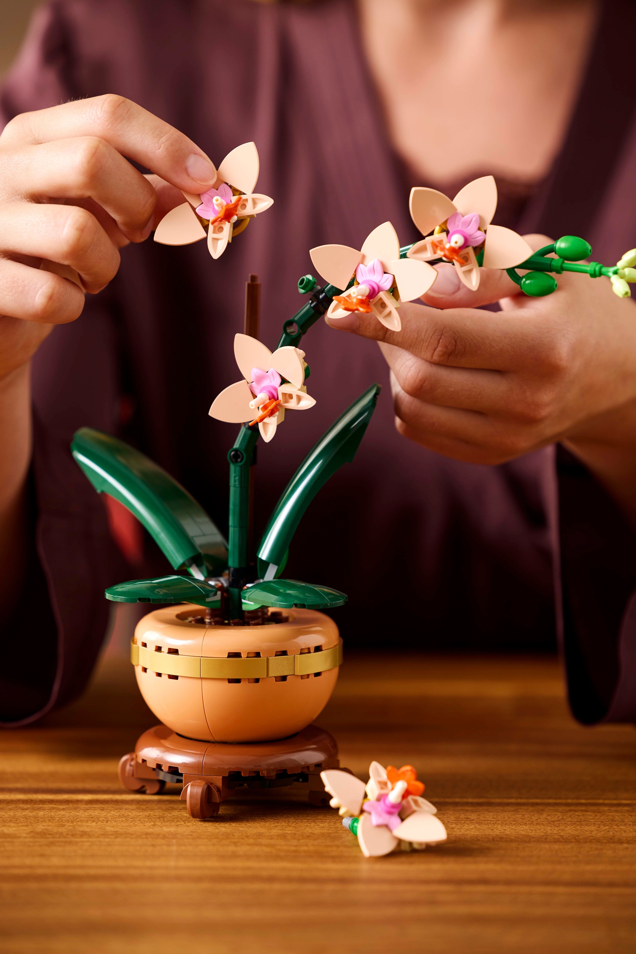LEGO Botanicals 10343 – Miniorkidea