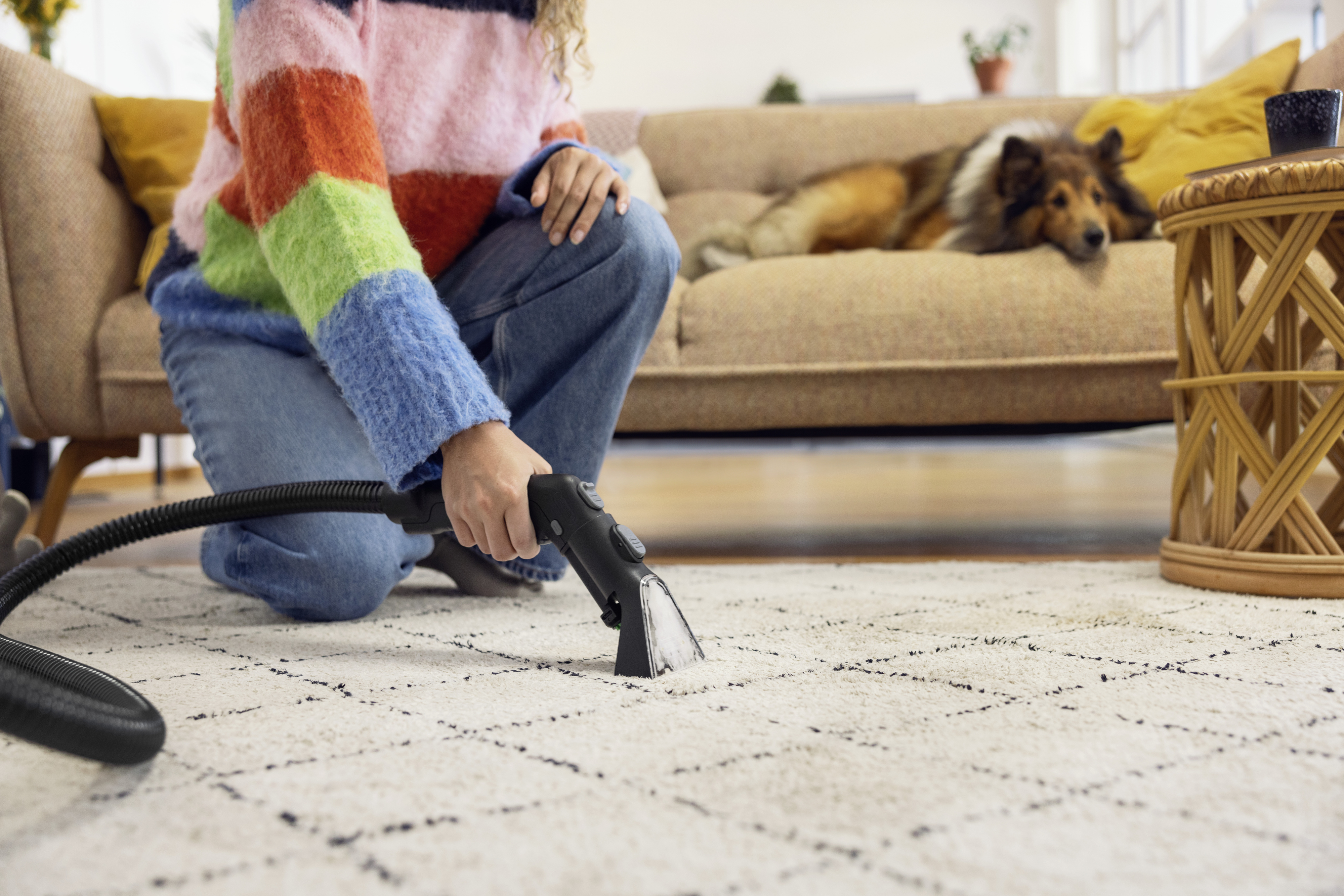 Kärcher SE 3 Compact Floor tekstiilipesuri