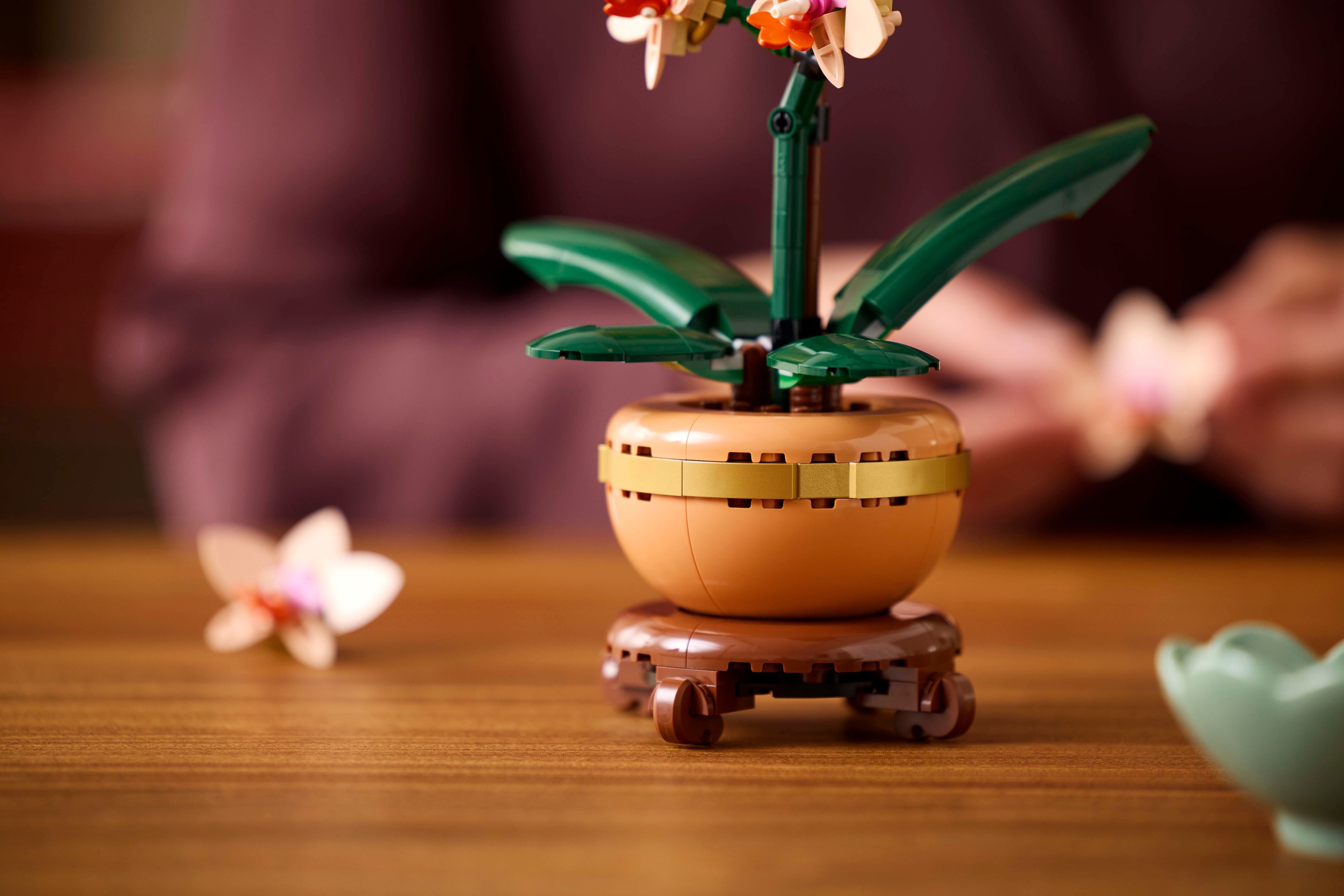 LEGO Botanicals 10343 – Miniorkidea
