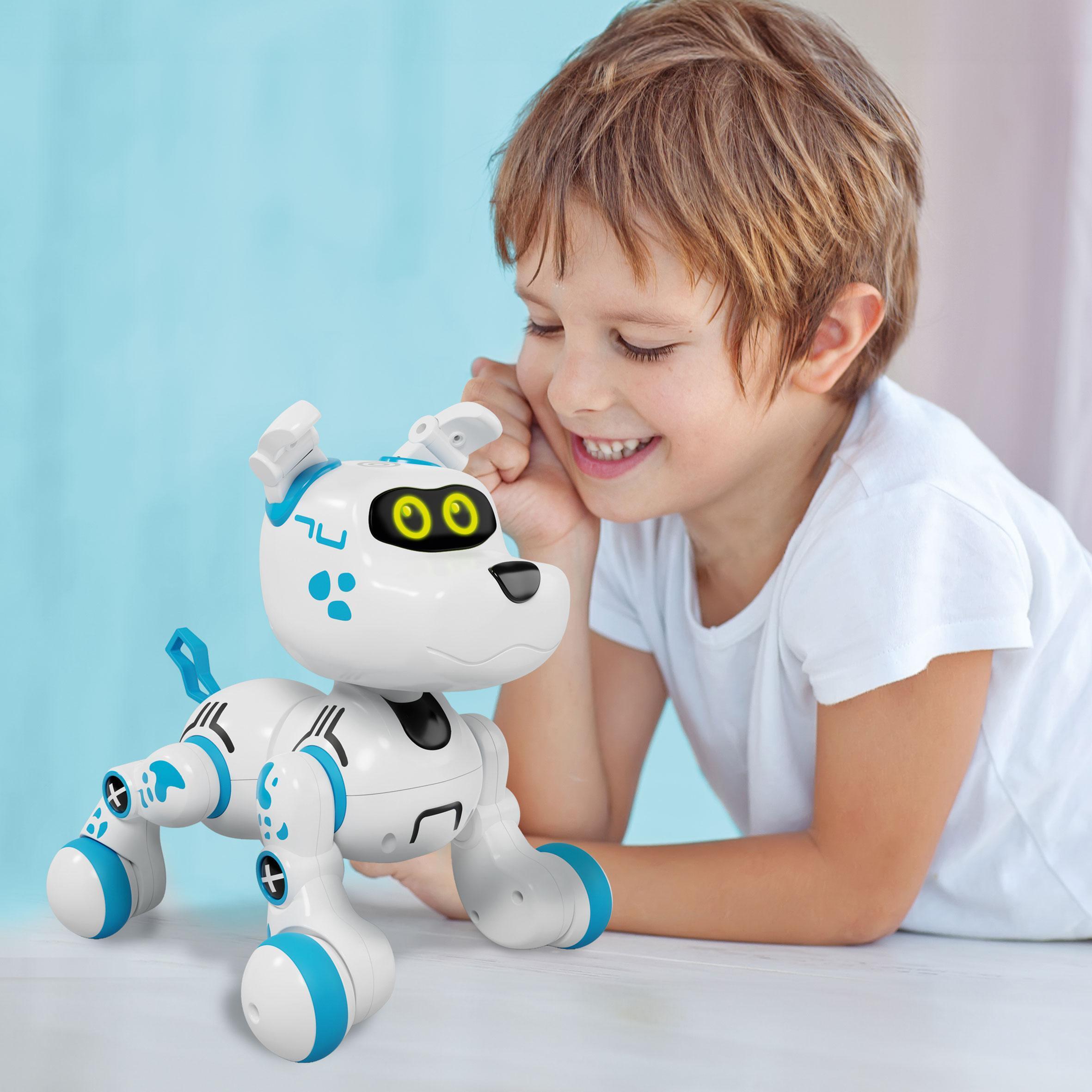 Xtrem Bots - Bobby Robottikoira