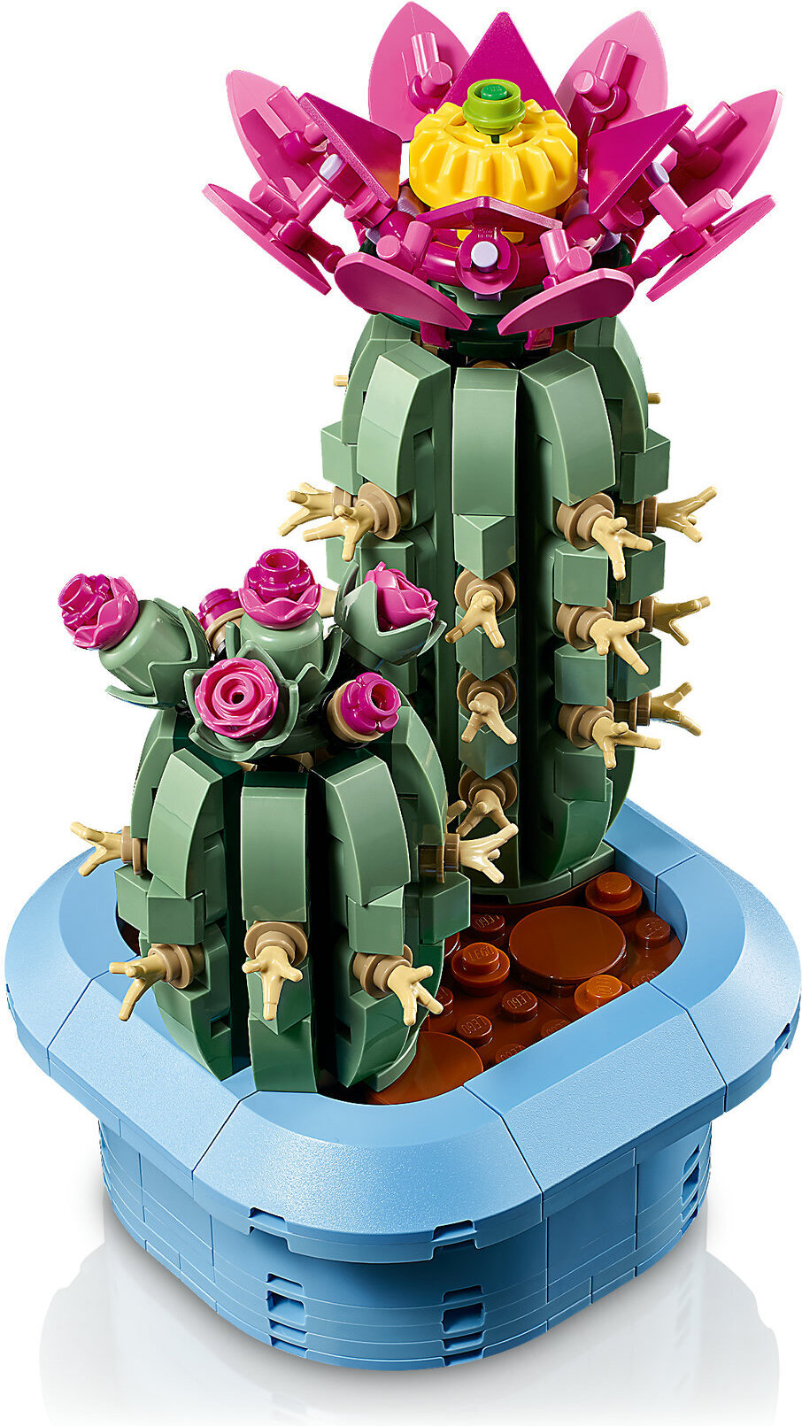 LEGO Botanicals 11509 Kukkiva kaktus