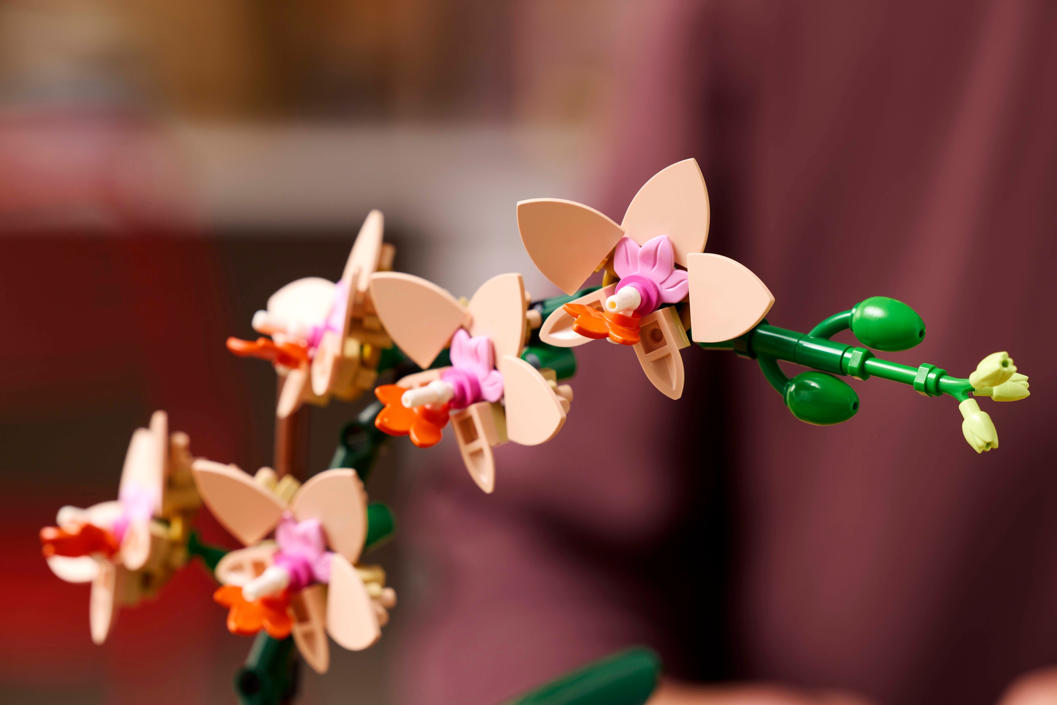 LEGO Botanicals 10343 – Miniorkidea