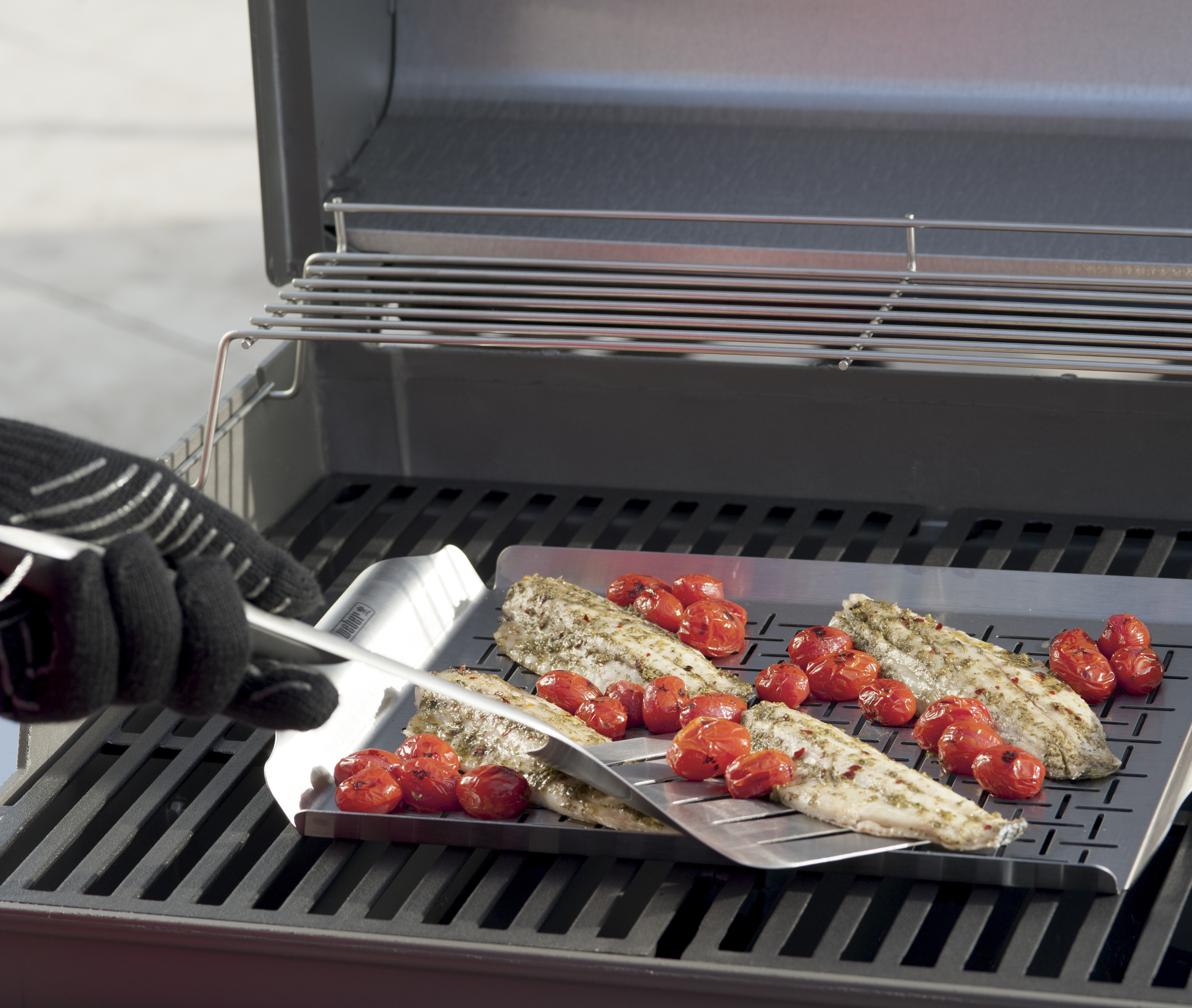 Weber Style kala-alusta