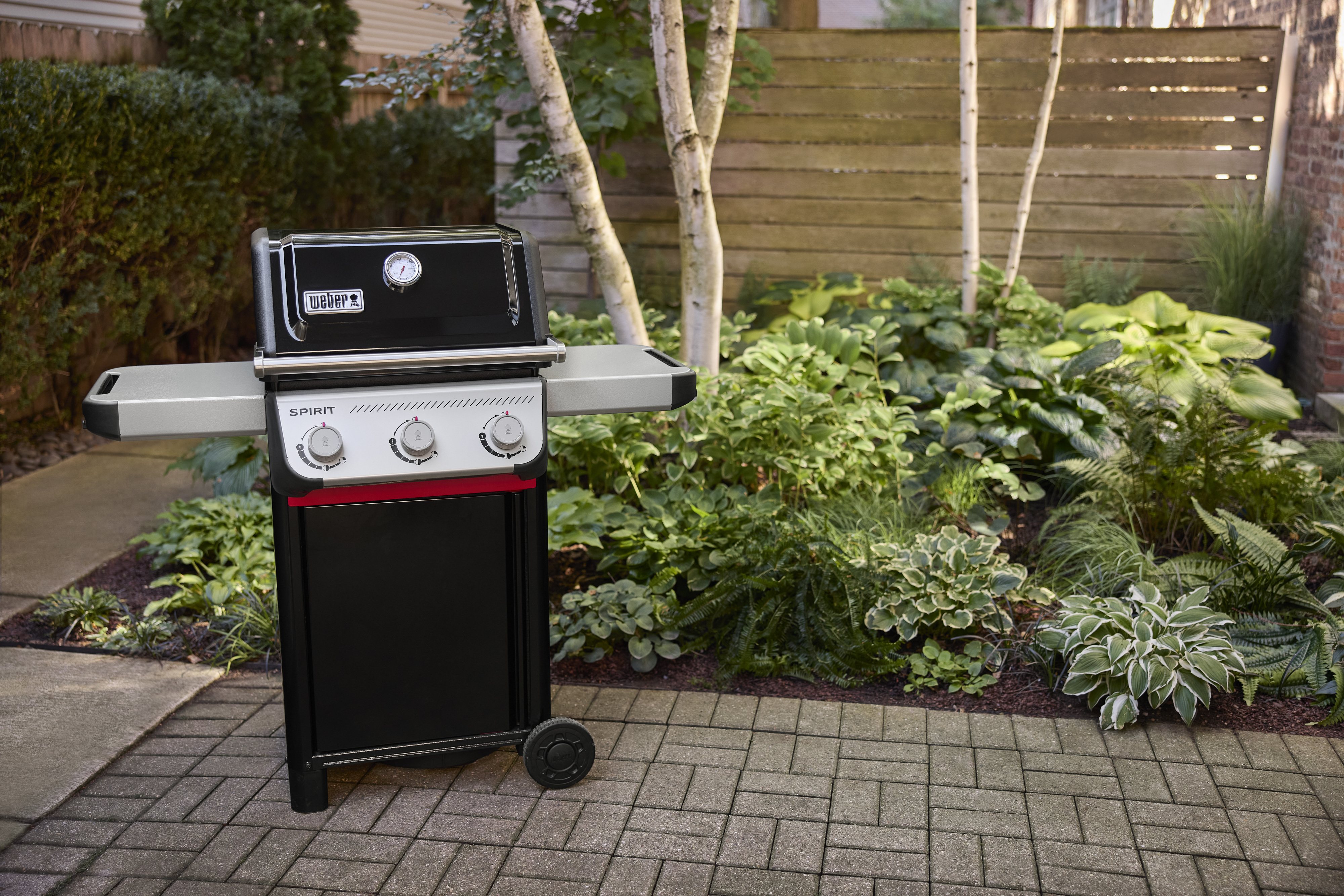 Weber Spirit E-210 kaasugrilli