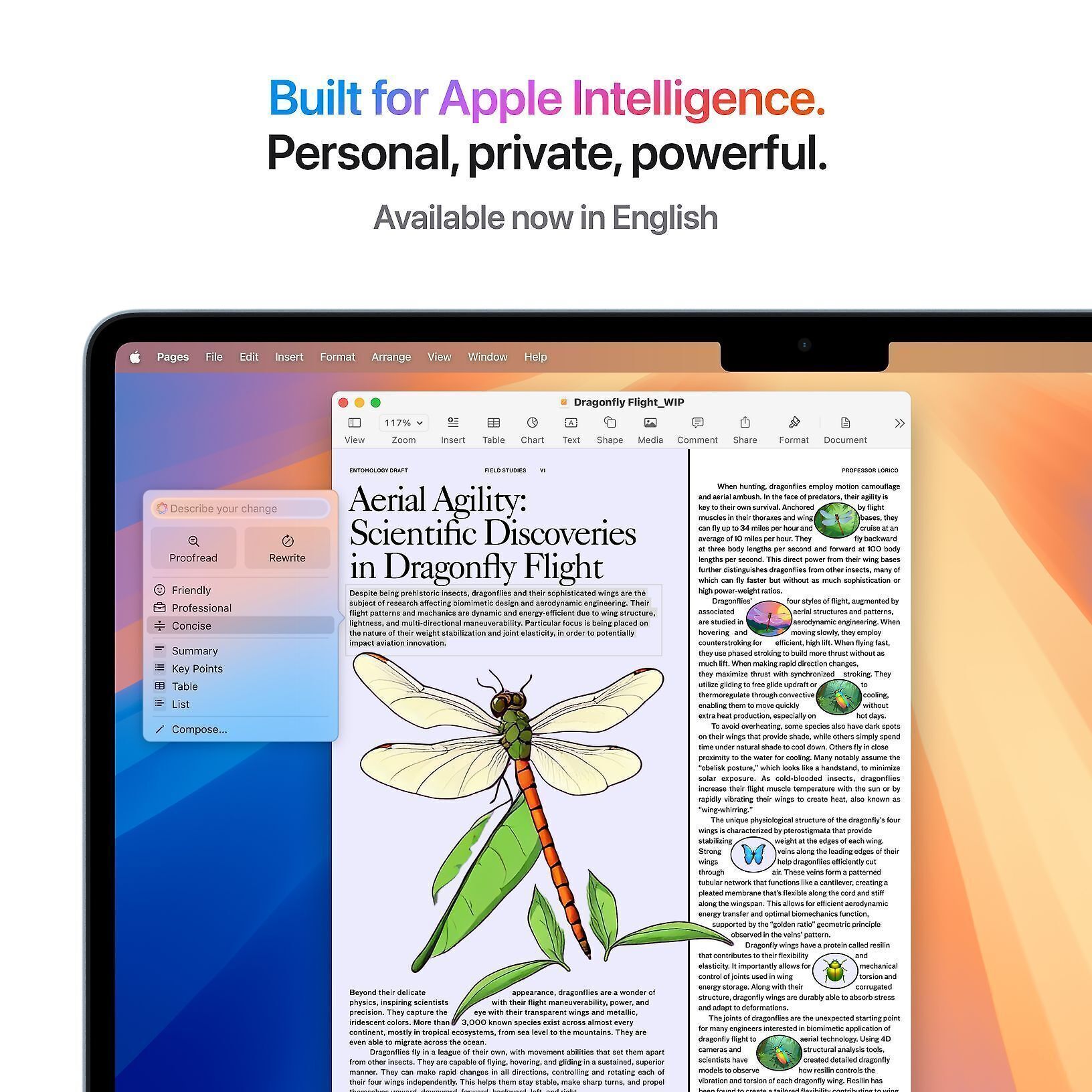 Apple MacBook Air 13" M4 16 Gt, 256 Gt 2025 -kannettava, tähtivalkea (MW0Y3)