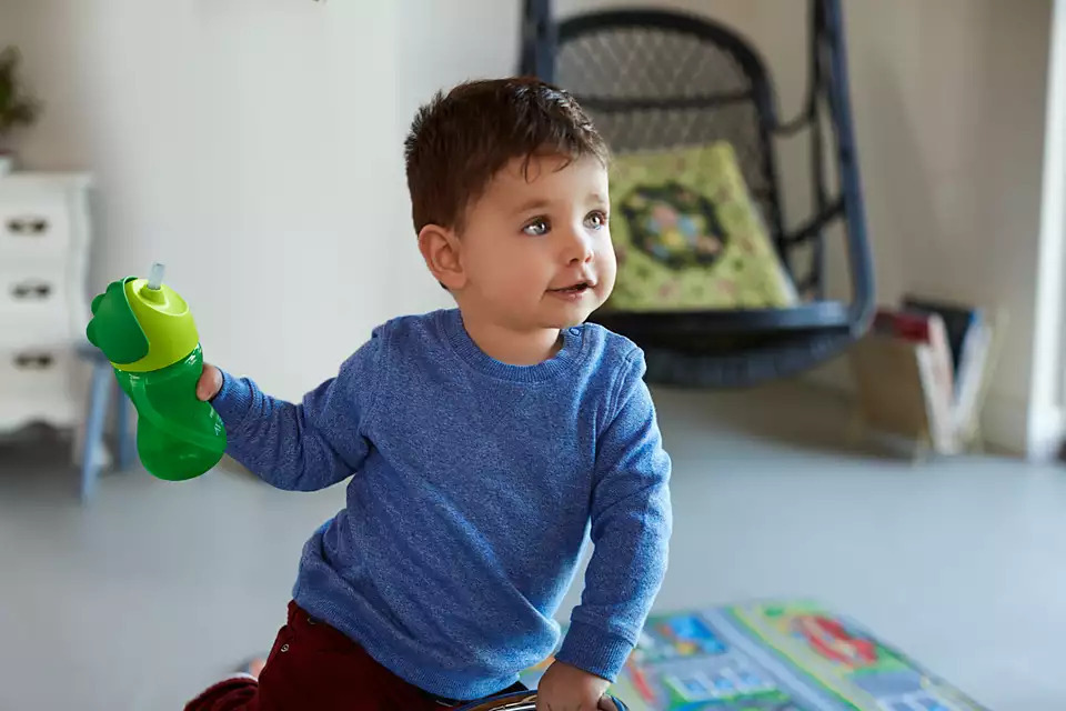 LEGO Botanical 10329 - Minikasvit