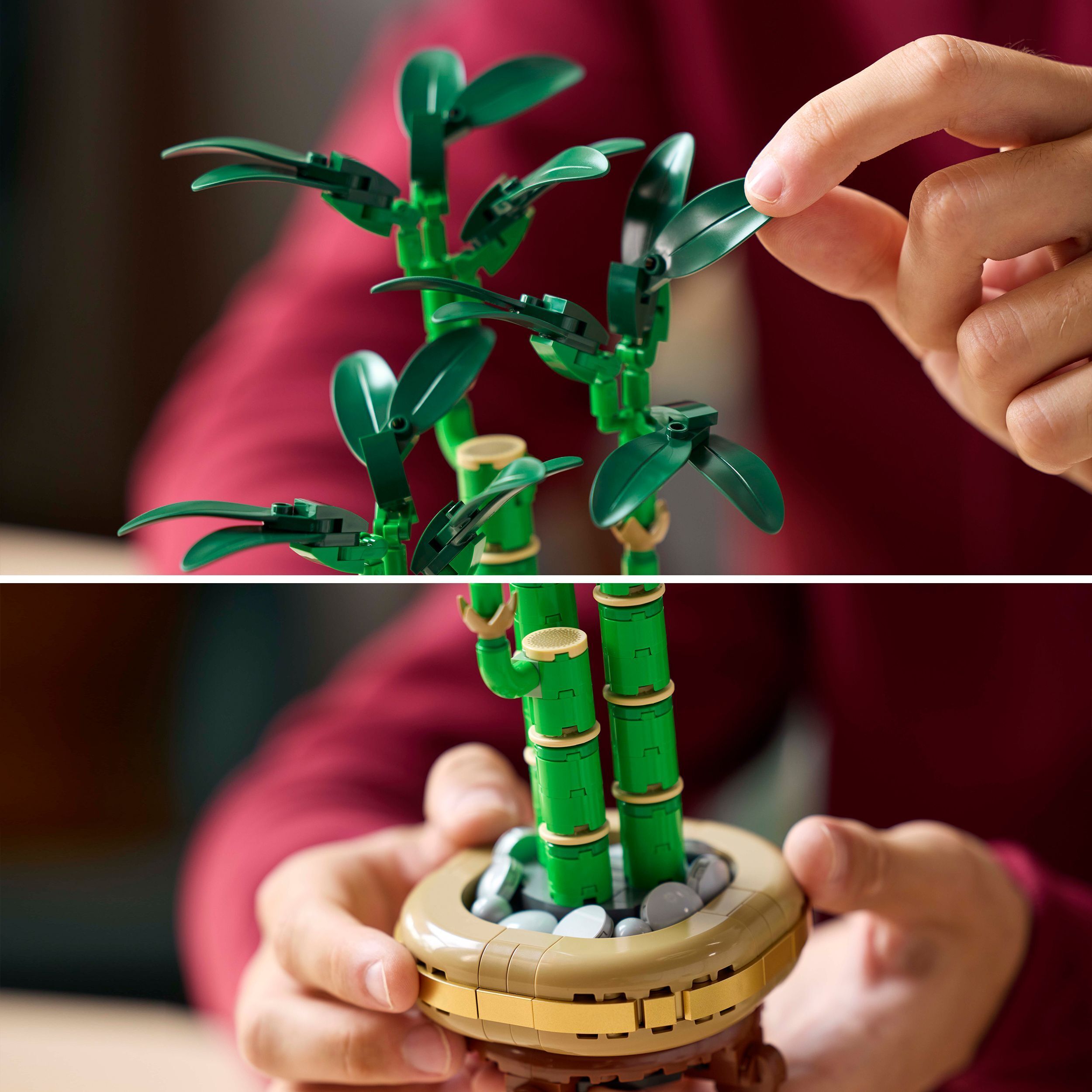 LEGO Botanicals 10344 – Onnenbambu