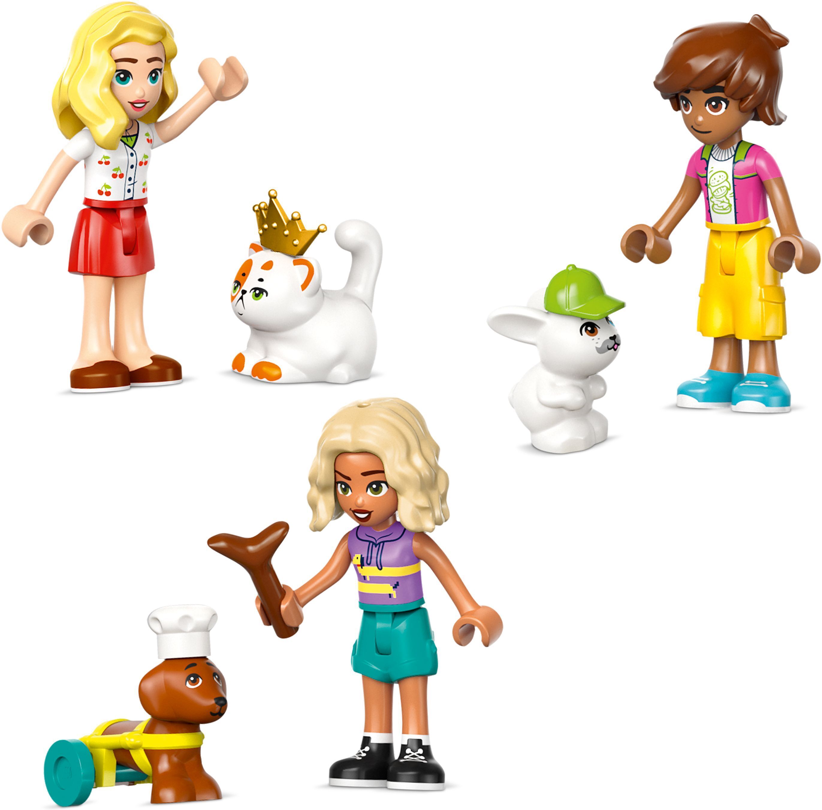 LEGO Friends 42650 – Lemmikkitarvikekauppa