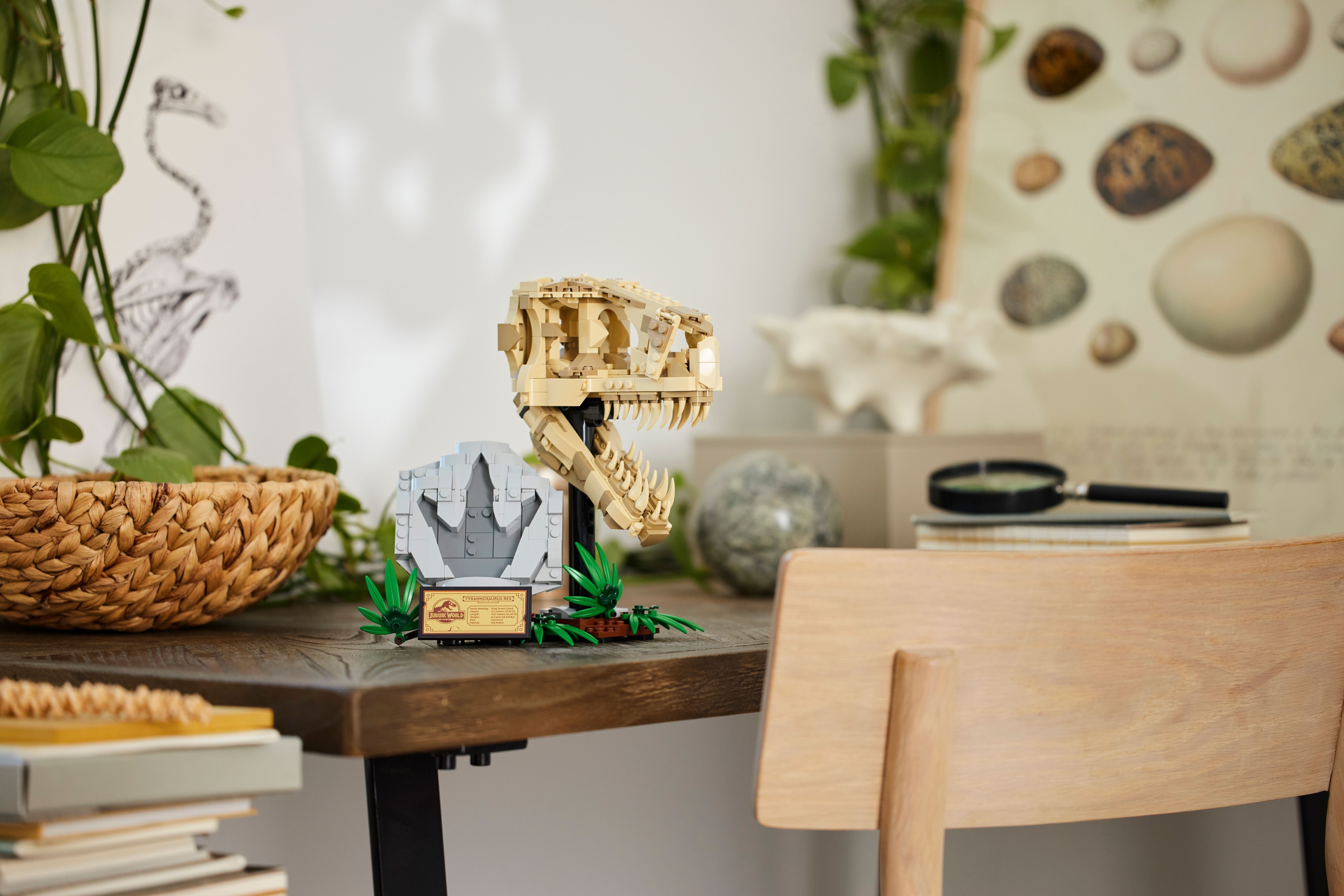 LEGO Jurassic World 76964  - Dinosaurusfossiilit: T. rexin pääkallo