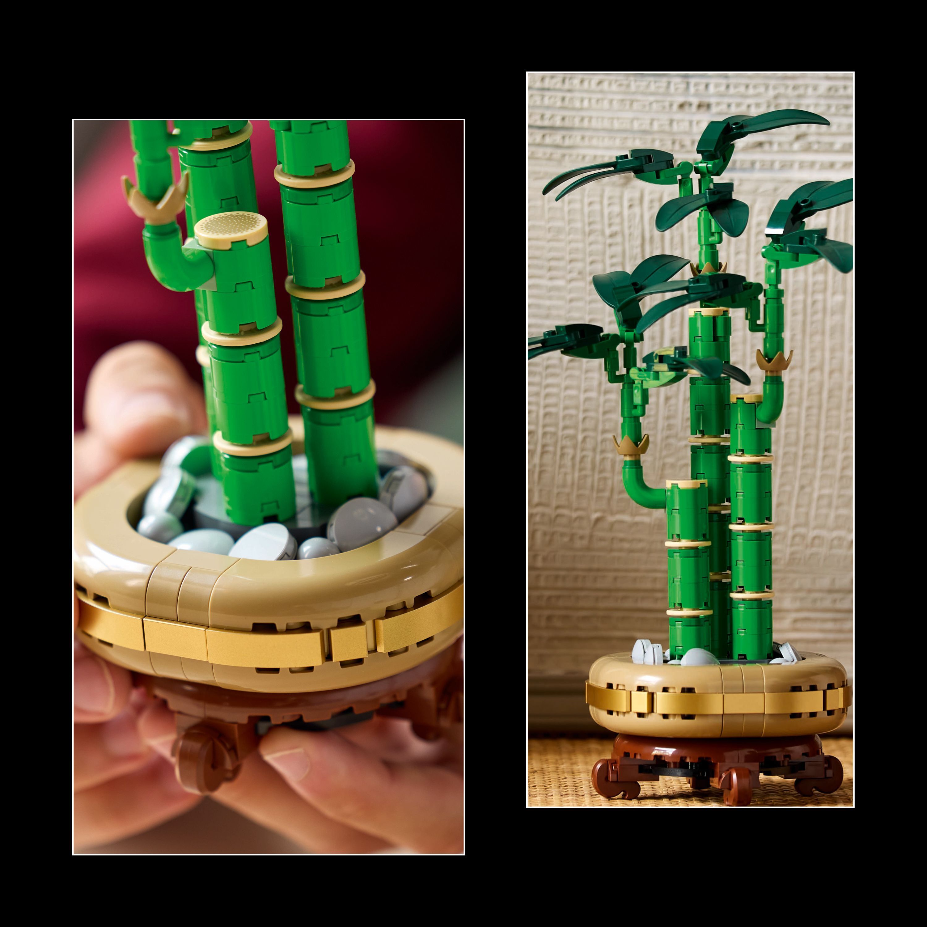 LEGO Botanicals 10344 – Onnenbambu