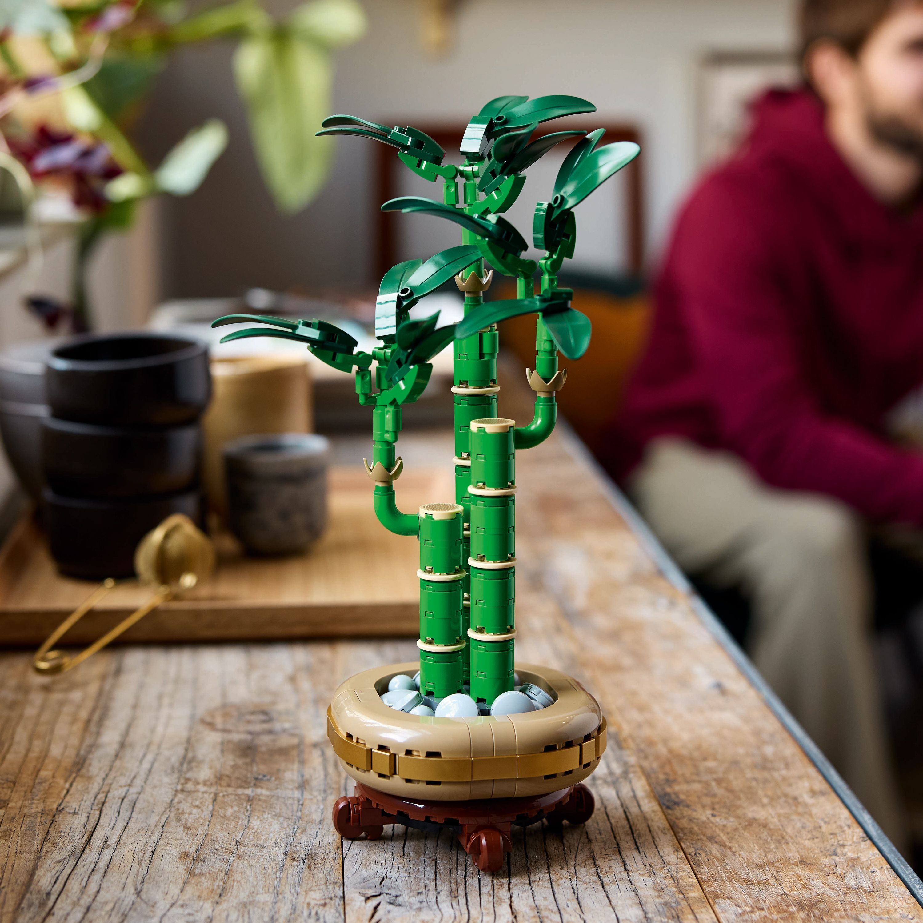 LEGO Botanicals 10344 – Onnenbambu