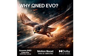 Kuva 10 / 12